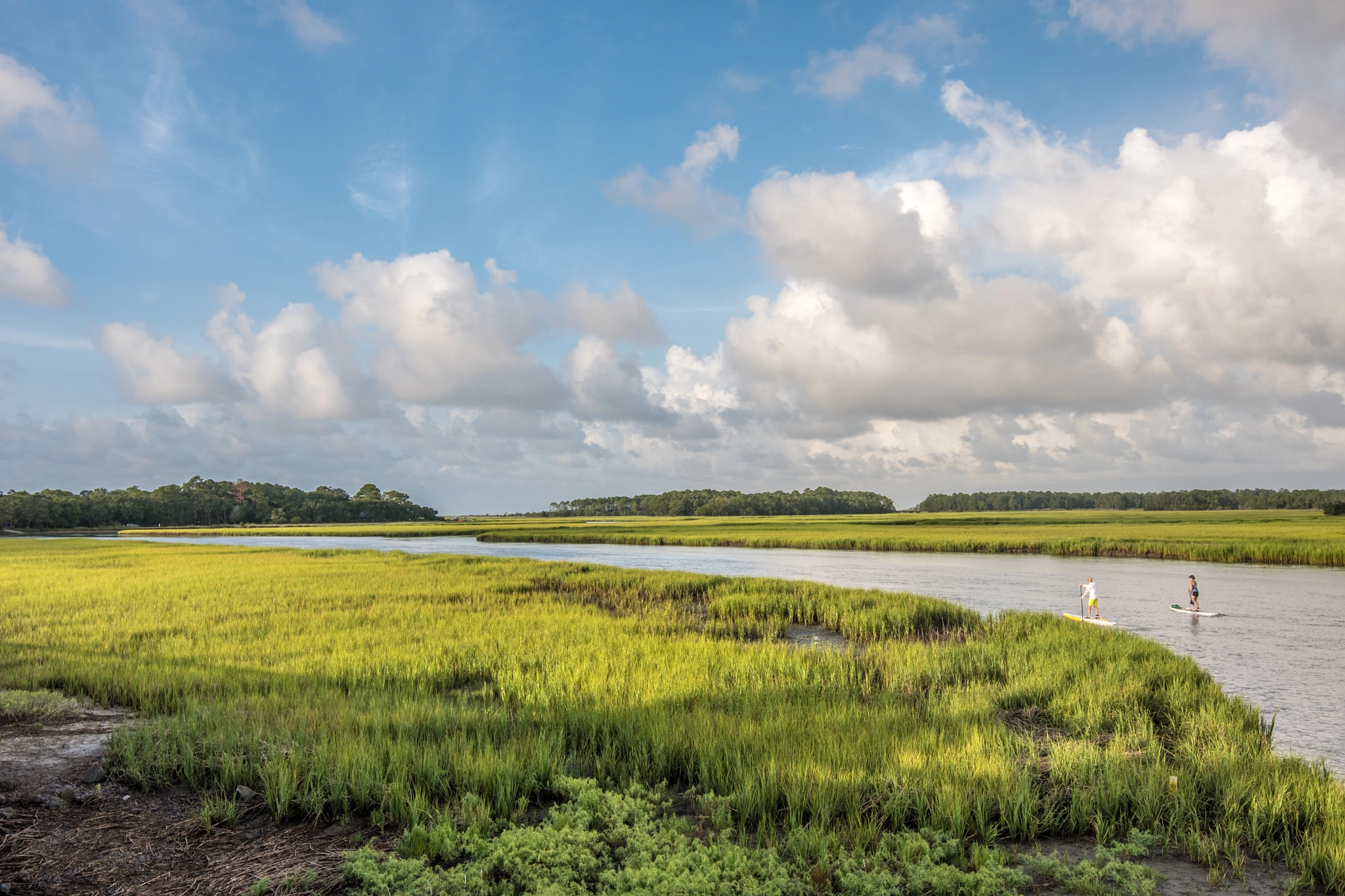 Nikon D500 + Tokina AT-X 11-20 F2.8 PRO DX (AF 11-20mm f/2.8) sample photo. Paddling into the marsh photography