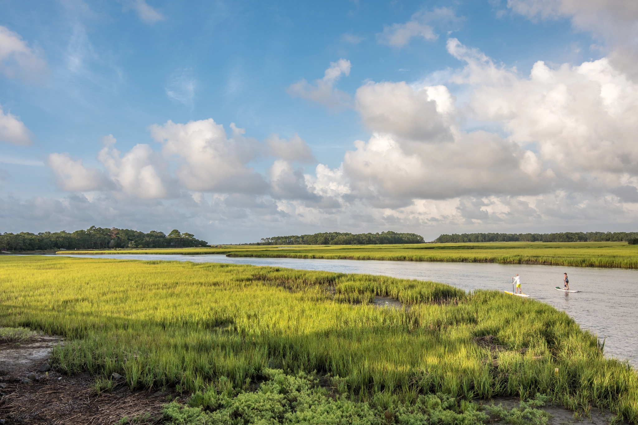 Nikon D500 sample photo. Paddling into the marsh photography