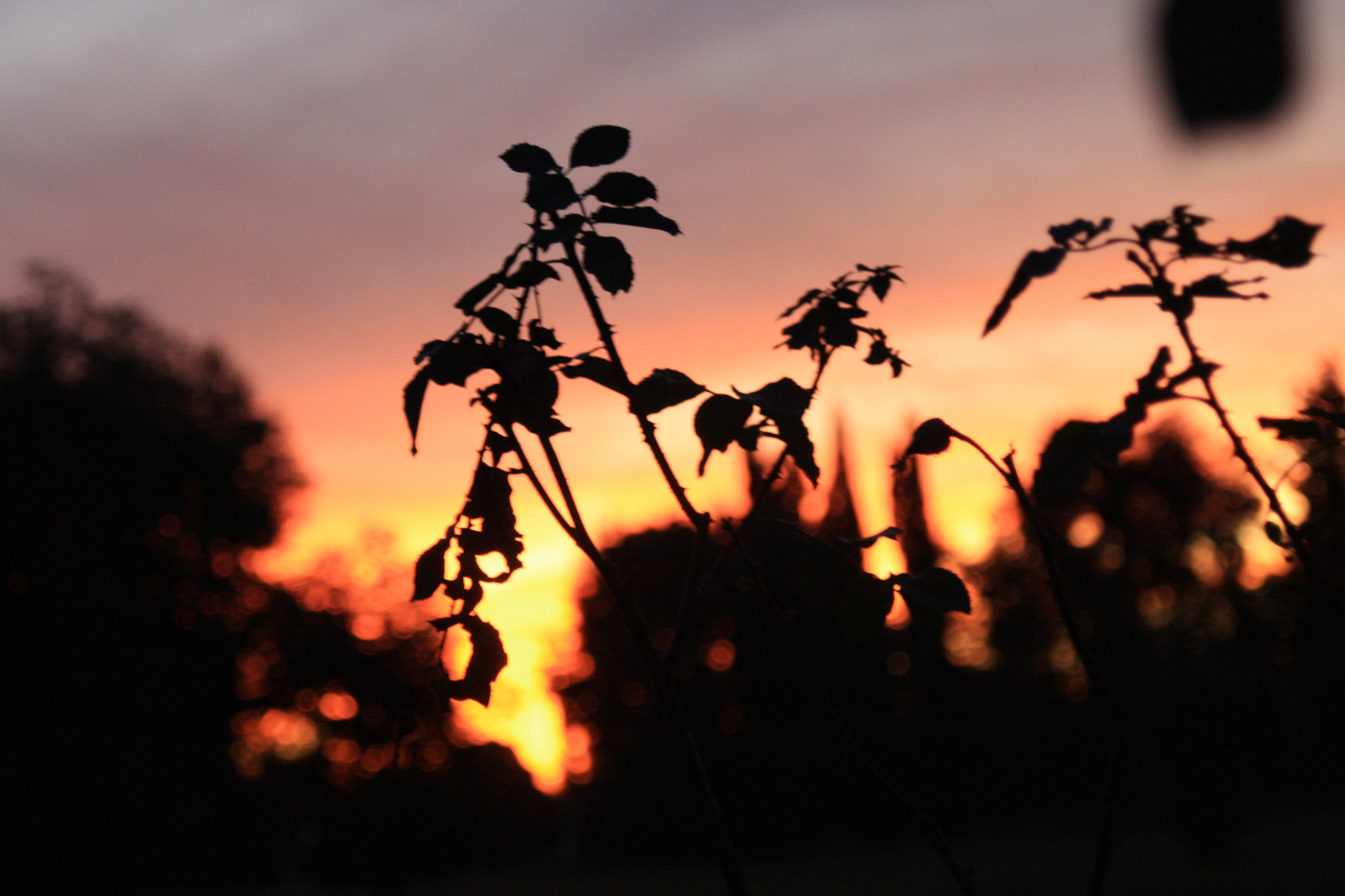 Canon EF 35-80mm f/4-5.6 sample photo. Atardecer pergaminense photography
