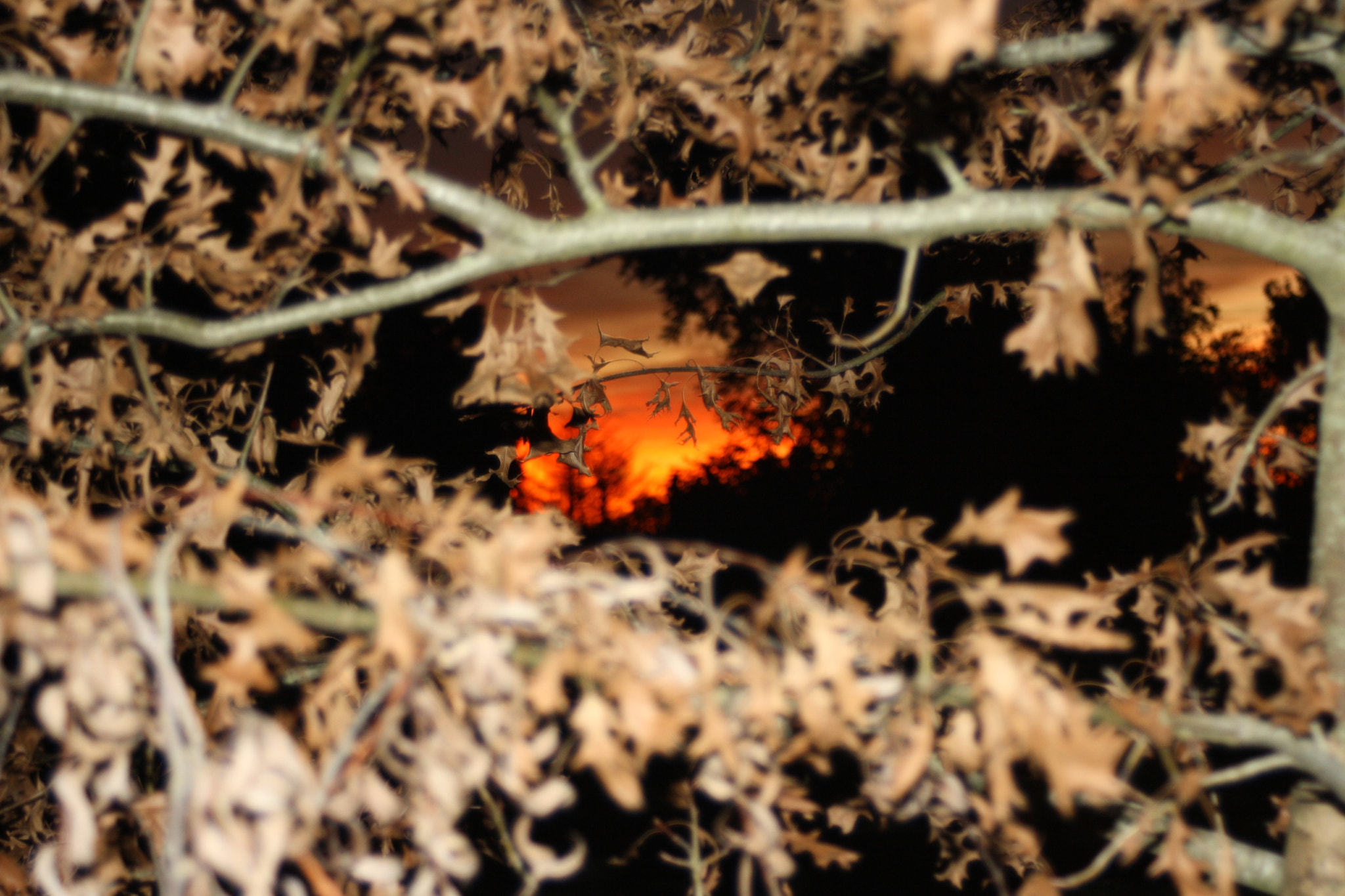 Canon EF 35-80mm f/4-5.6 sample photo. Spying photography
