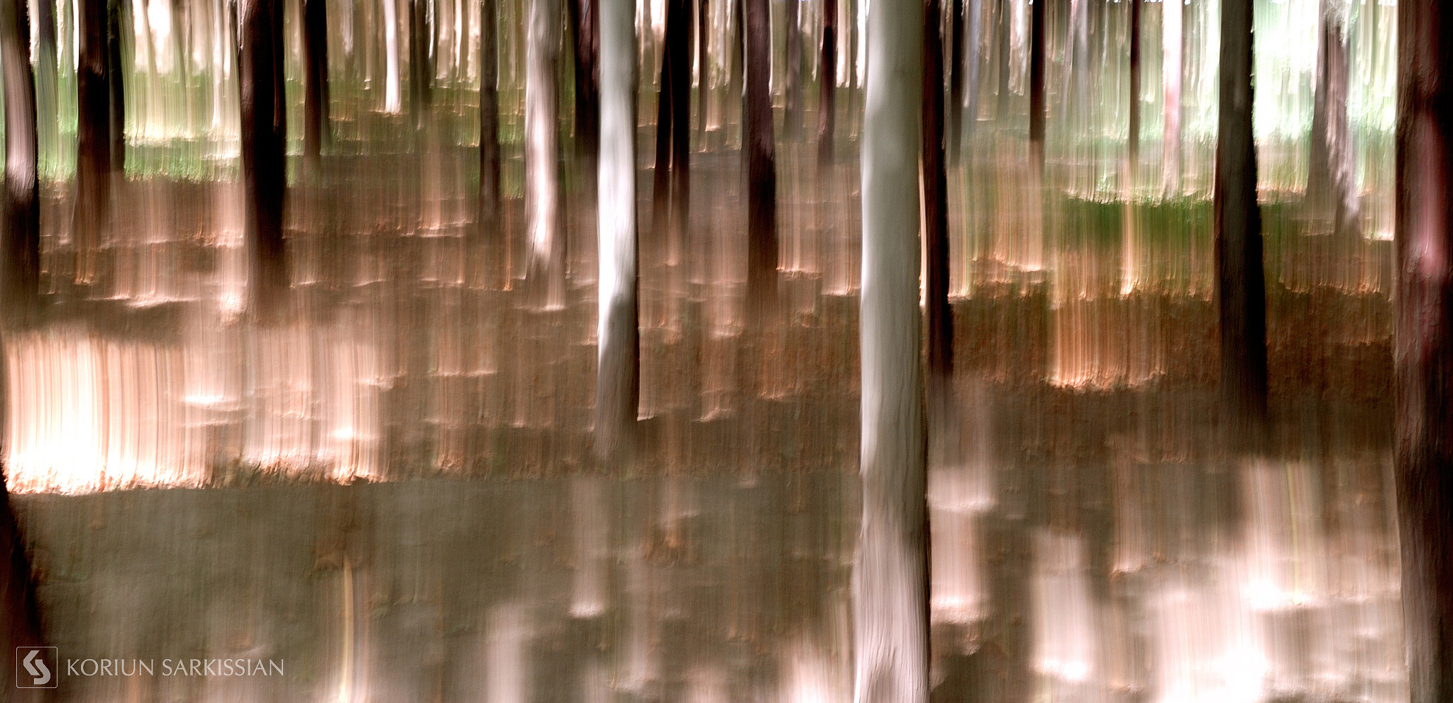 Sigma 18-200mm F3.5-6.3 DC OS HSM sample photo. Burning forest photography