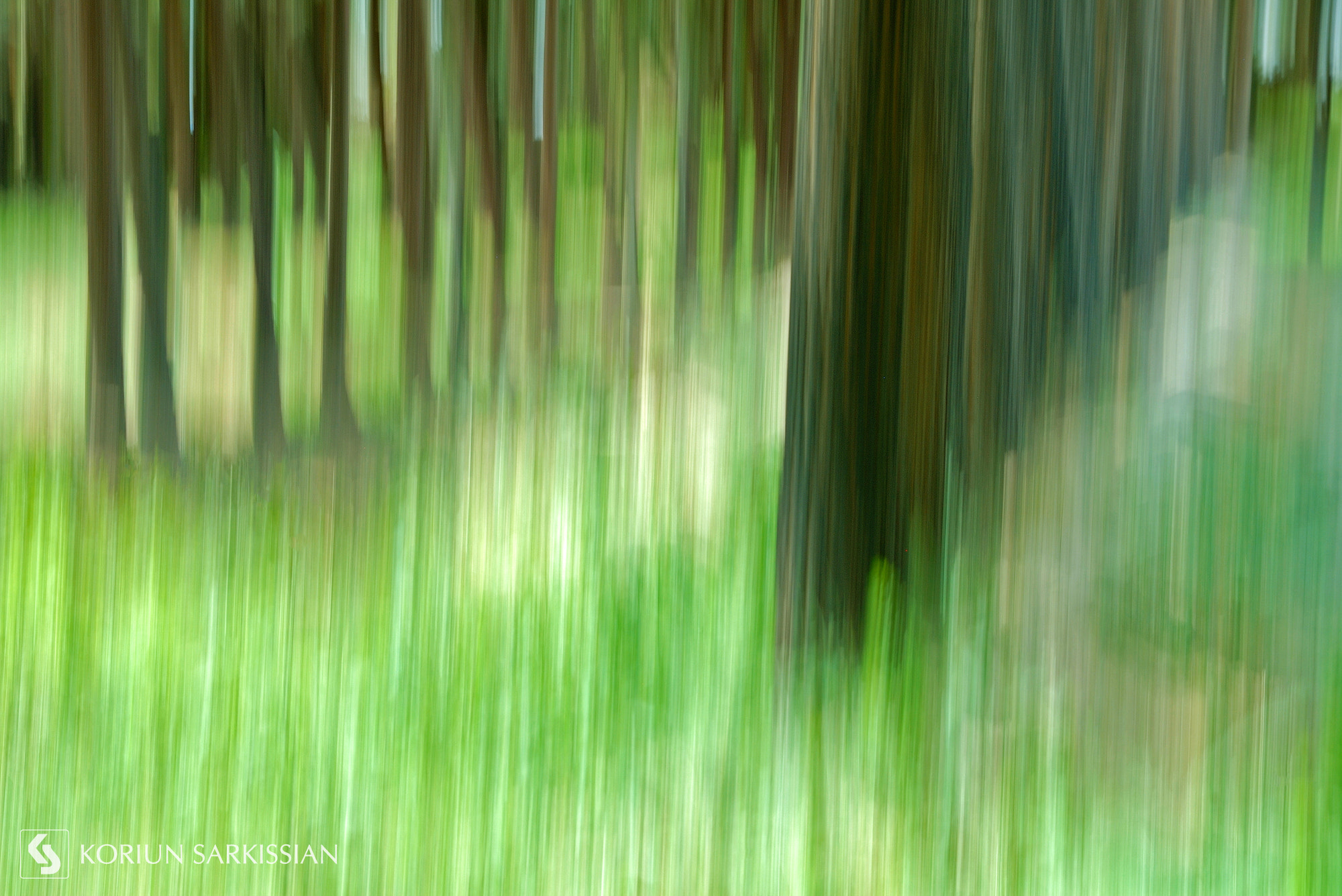 Sigma 18-200mm F3.5-6.3 DC OS HSM sample photo. Dream photography