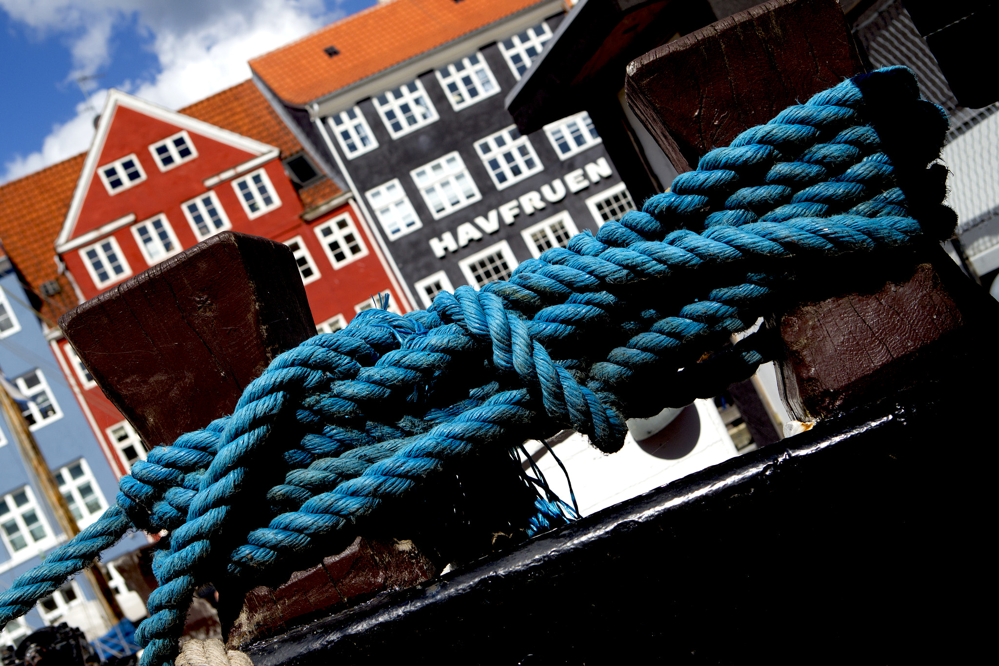 Canon EOS-1D Mark IV sample photo. Blue knot photography