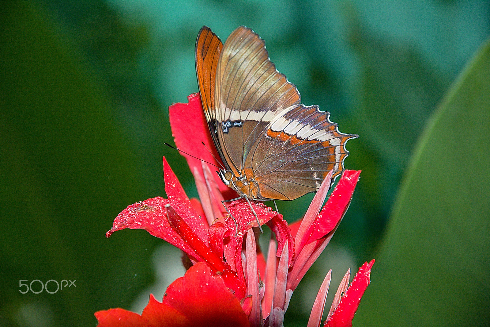 18.00 - 105.00 mm f/3.5 - 5.6 sample photo. ;) photography