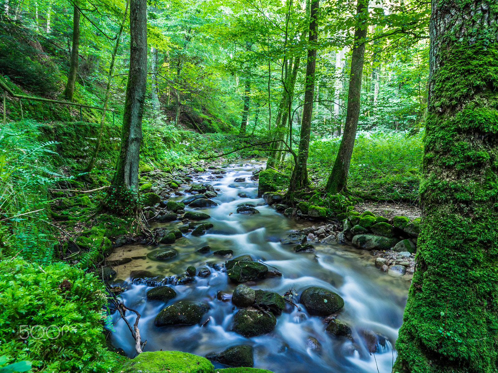 Olympus OM-D E-M10 + OLYMPUS M.9-18mm F4.0-5.6 sample photo. Grobbachtal photography