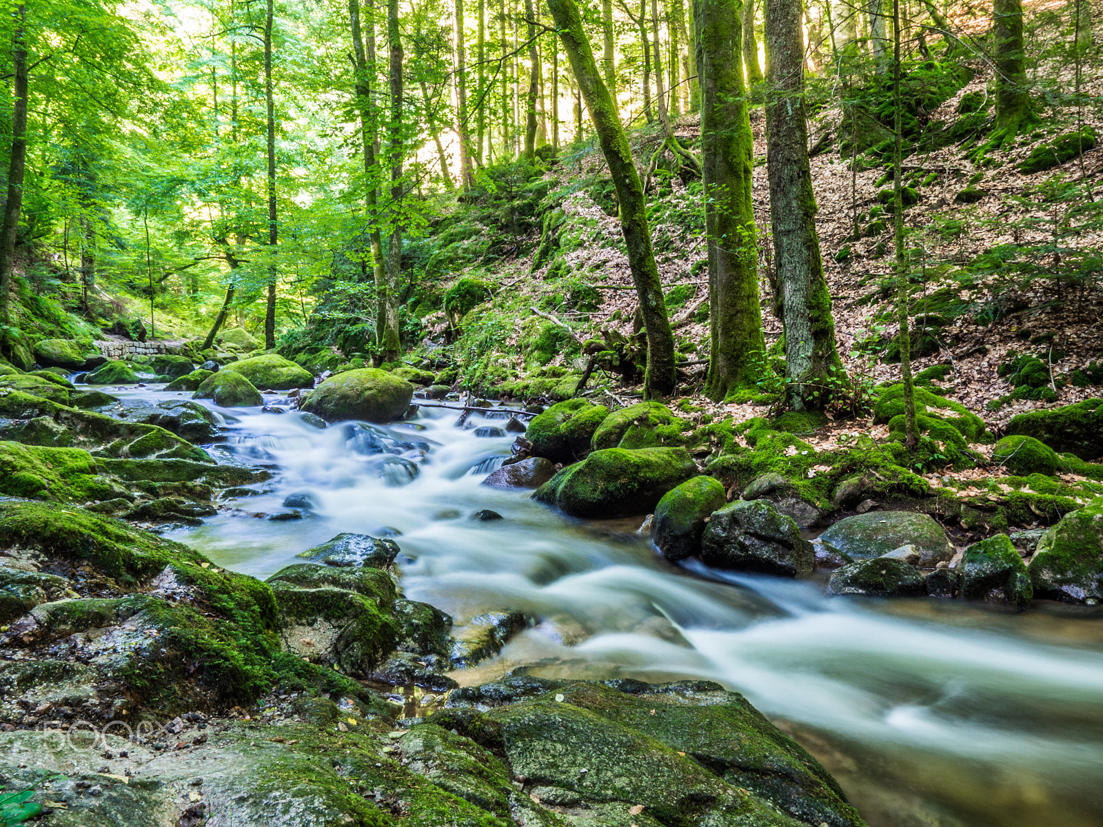 OLYMPUS M.9-18mm F4.0-5.6 sample photo. Grobbachtal photography