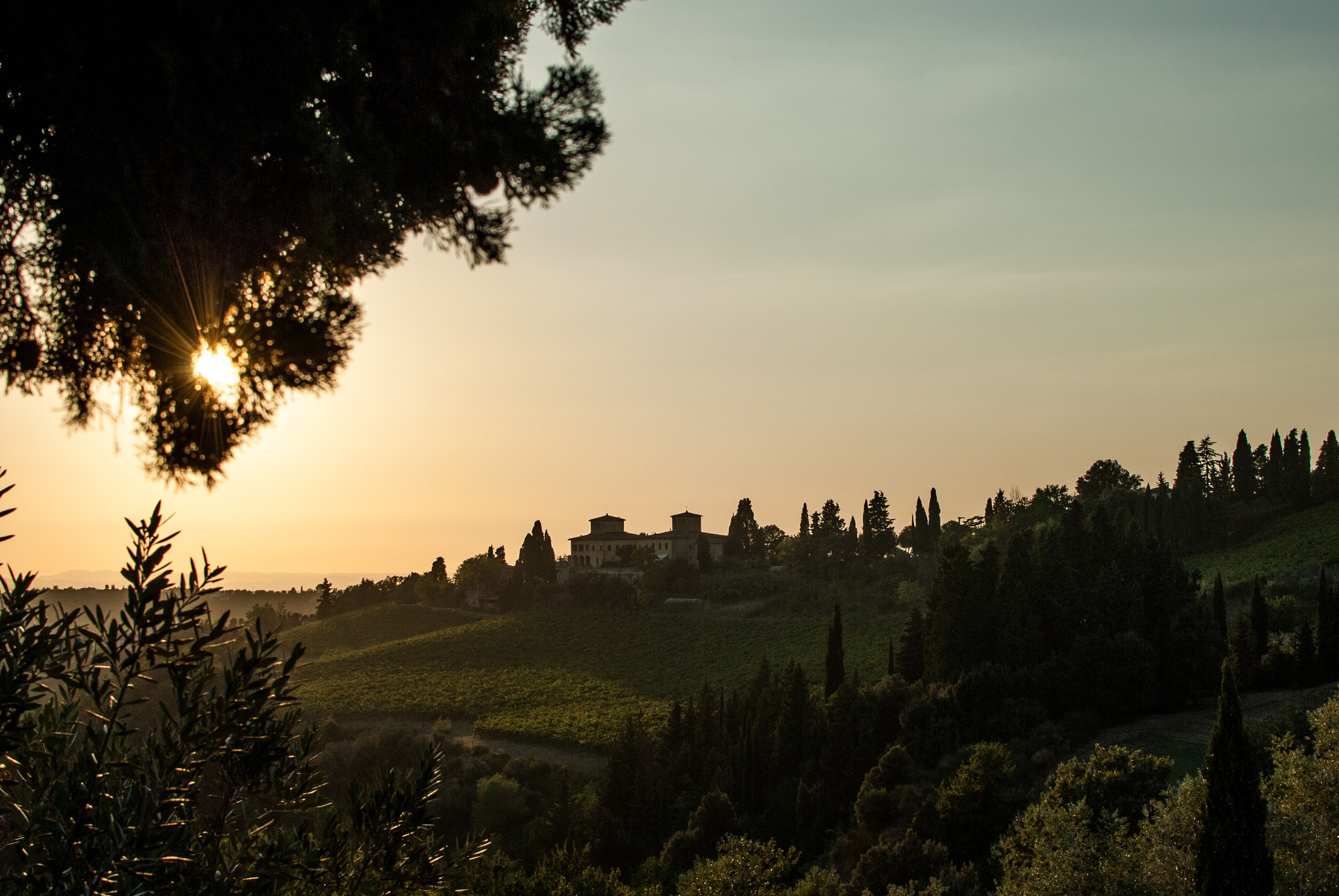 Nikon D200 + Nikon AF-S DX Nikkor 35mm F1.8G sample photo. Sweet sunset colors over chianti hills photography