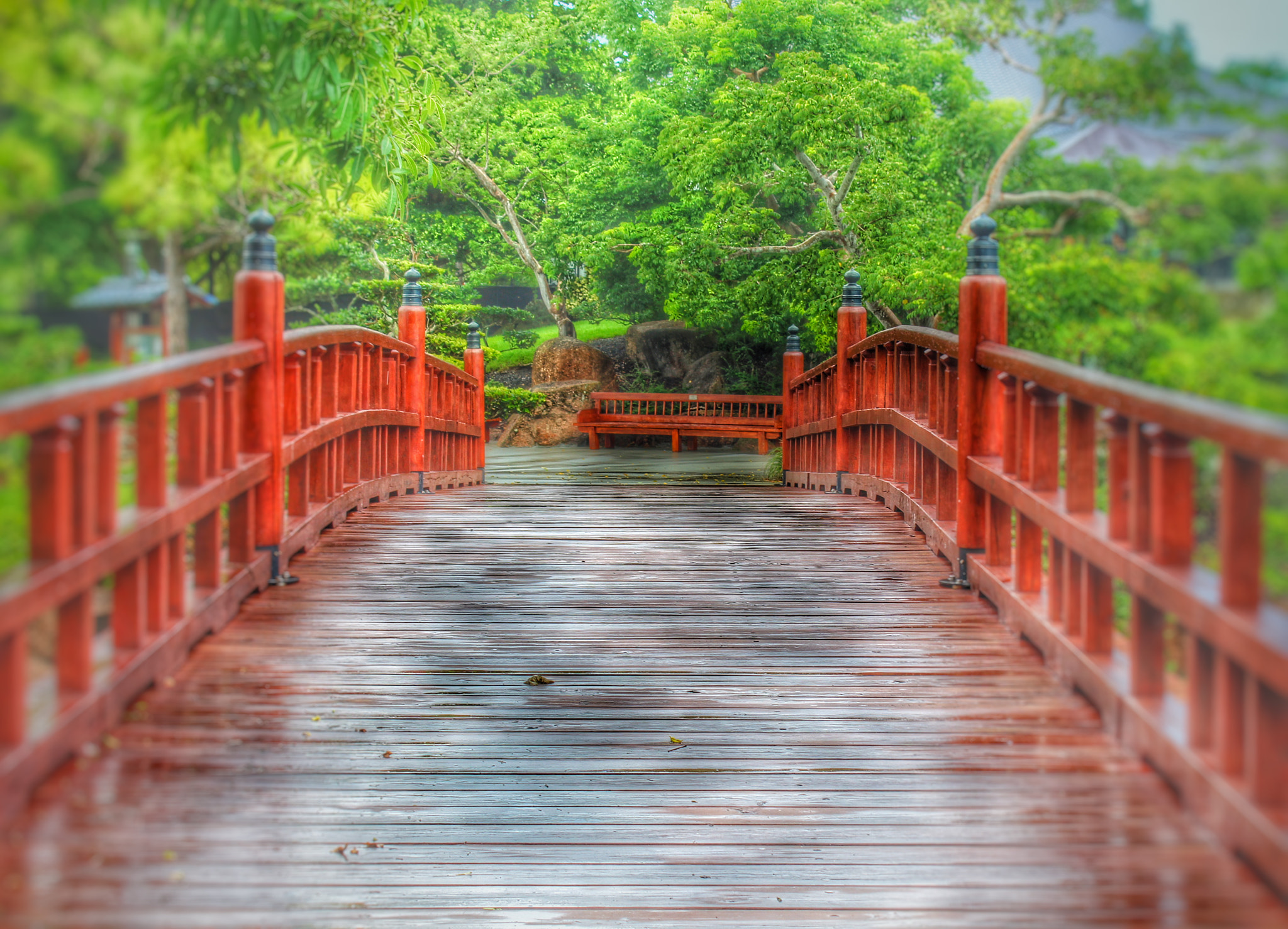 Canon EF-S 18-55mm F3.5-5.6 IS II sample photo. Morikami photography