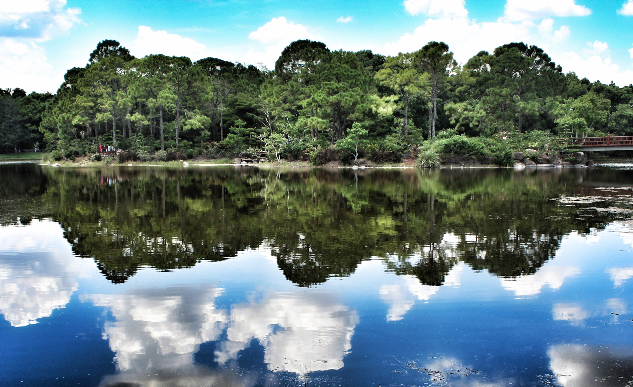 Canon EF-S 18-55mm F3.5-5.6 IS II sample photo. Morikami photography