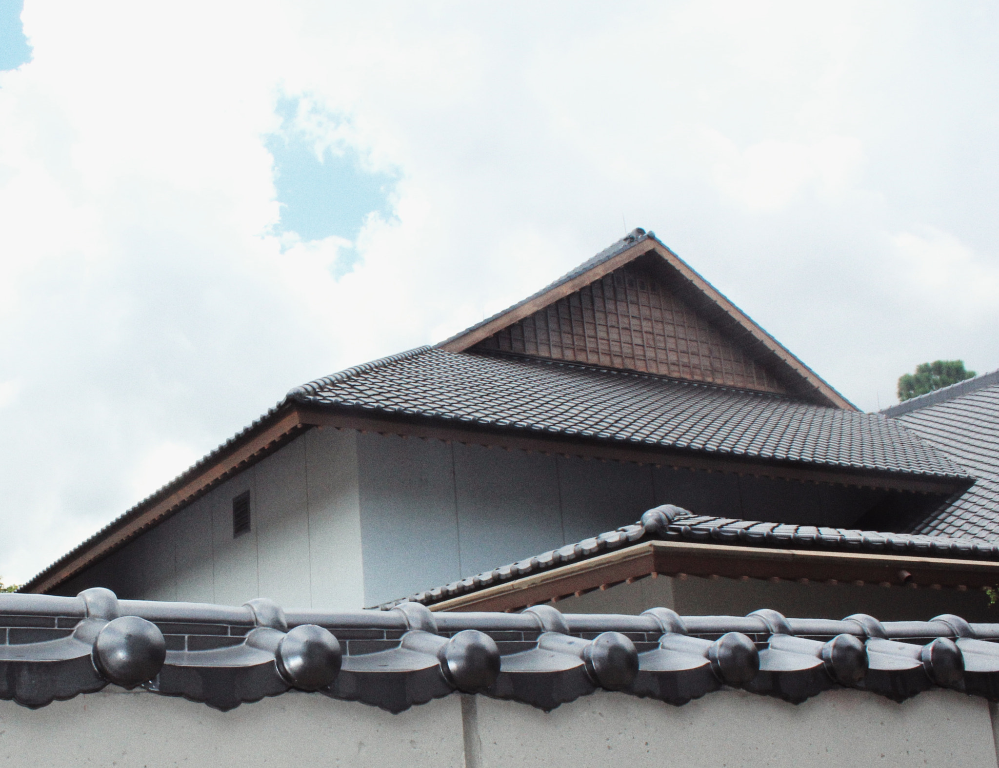 Canon EF-S 18-55mm F3.5-5.6 IS II sample photo. Morikami photography