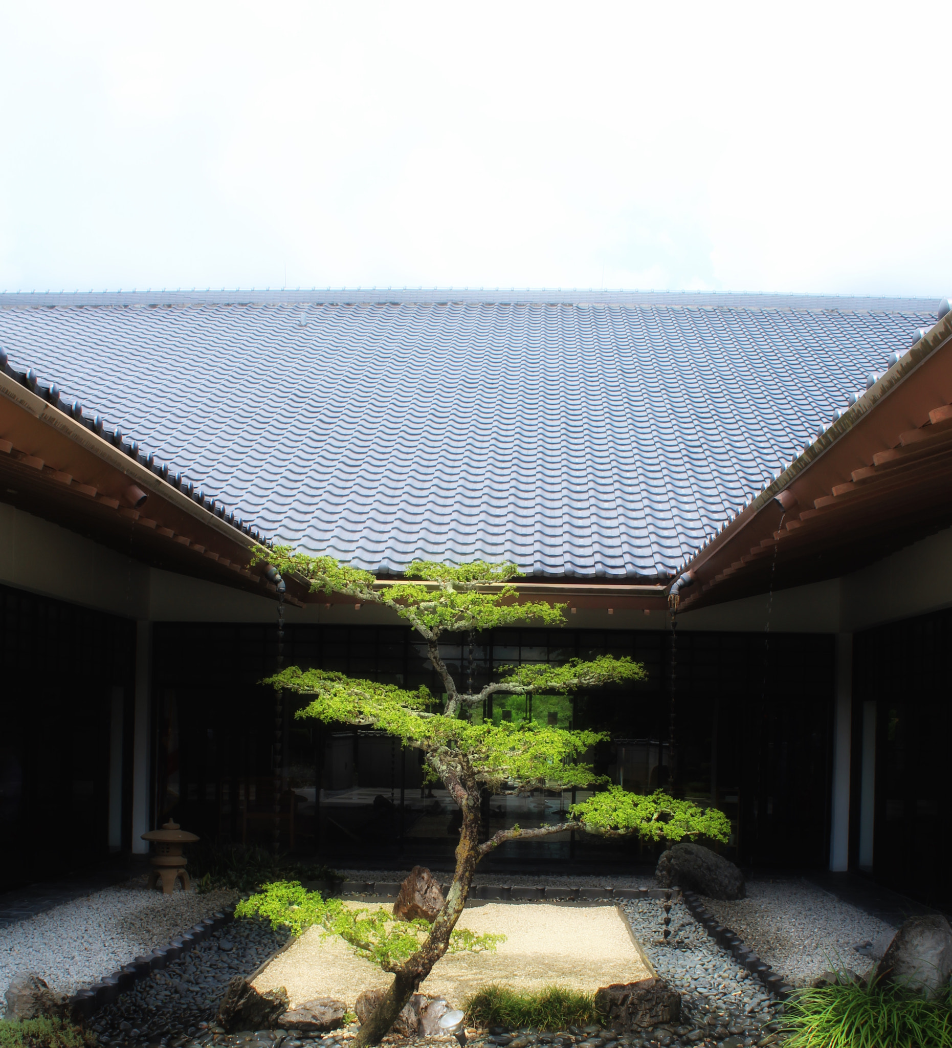 Canon EF-S 18-55mm F3.5-5.6 IS II sample photo. Morikami photography