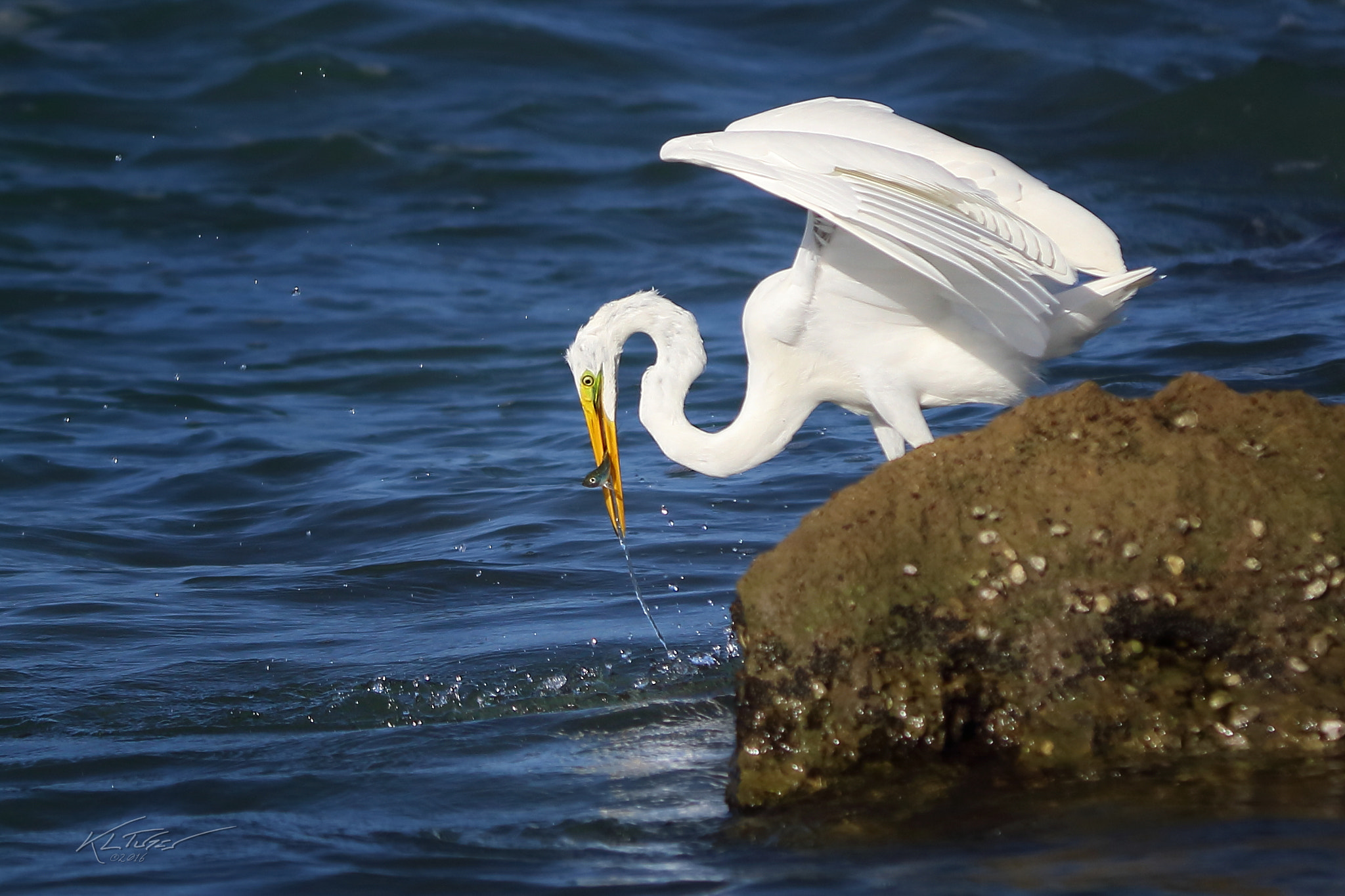 Canon EOS 100D (EOS Rebel SL1 / EOS Kiss X7) sample photo. Fishing from a rock photography