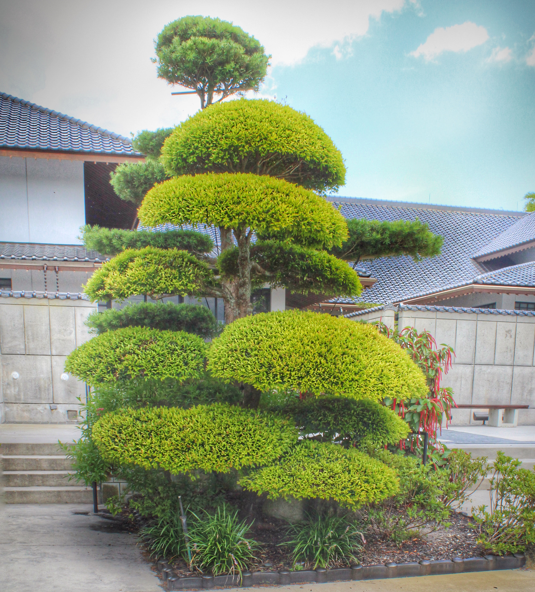 Canon EF-S 18-55mm F3.5-5.6 IS II sample photo. Morikami photography