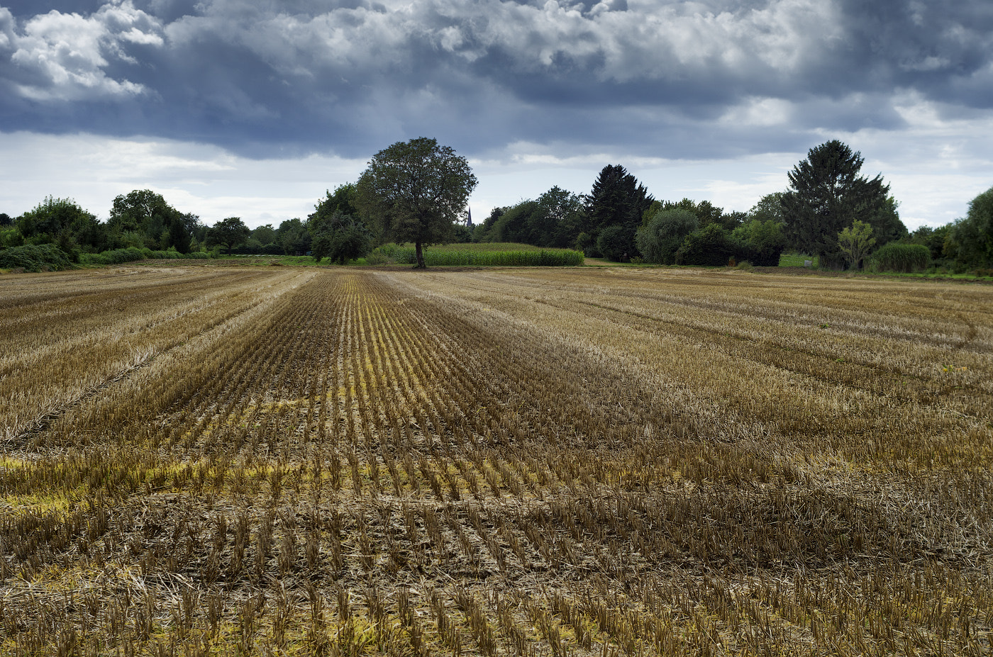 Pentax K-5 sample photo. Country landscape photography