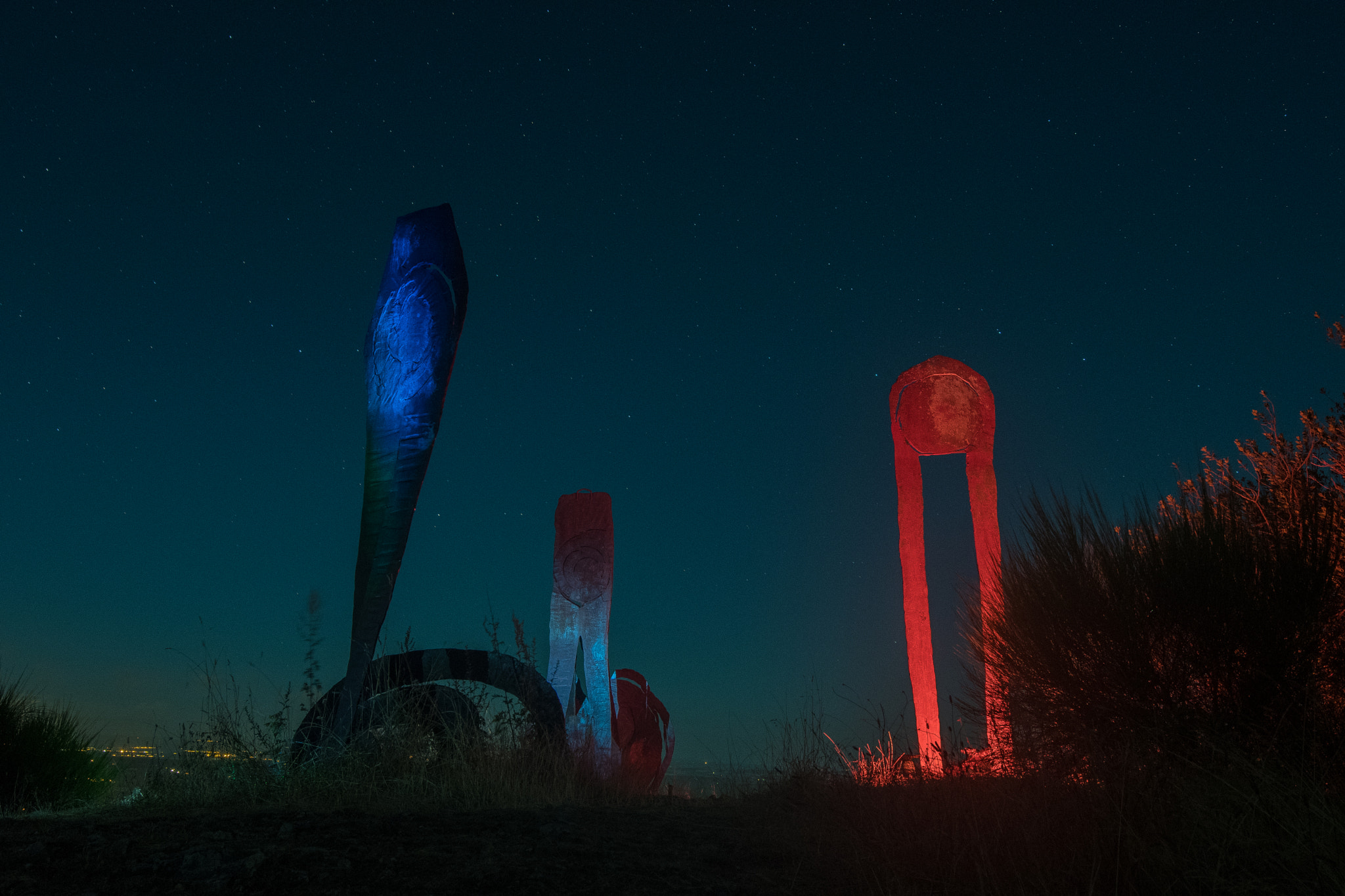 Nikon D500 sample photo. Sculptures and night photography