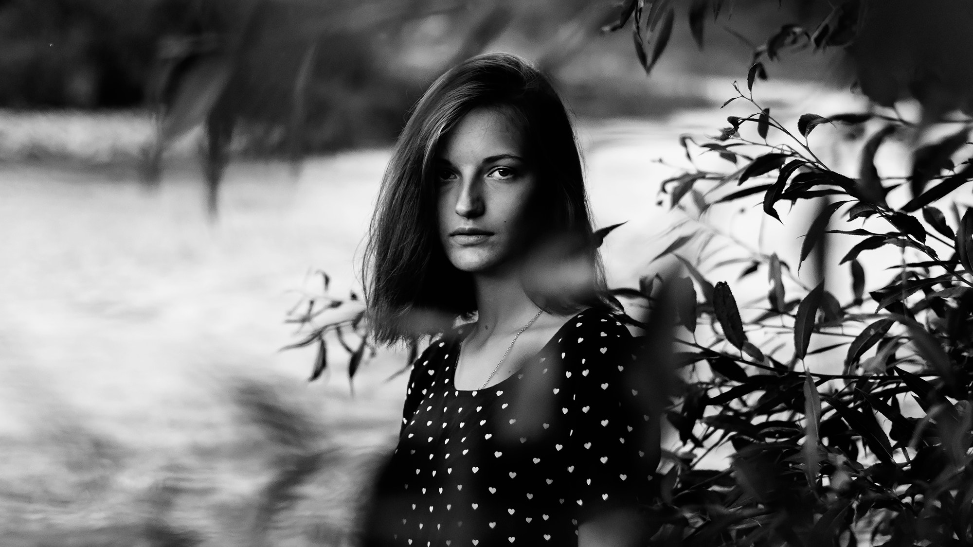 Nikon D5300 + Nikon AF-S Nikkor 50mm F1.4G sample photo. With nature, without color photography