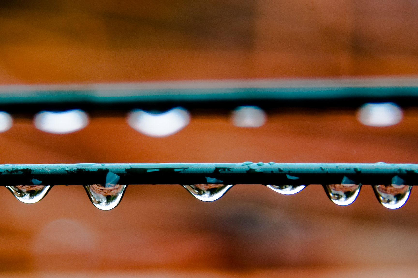Nikon D40 sample photo. Tears photography