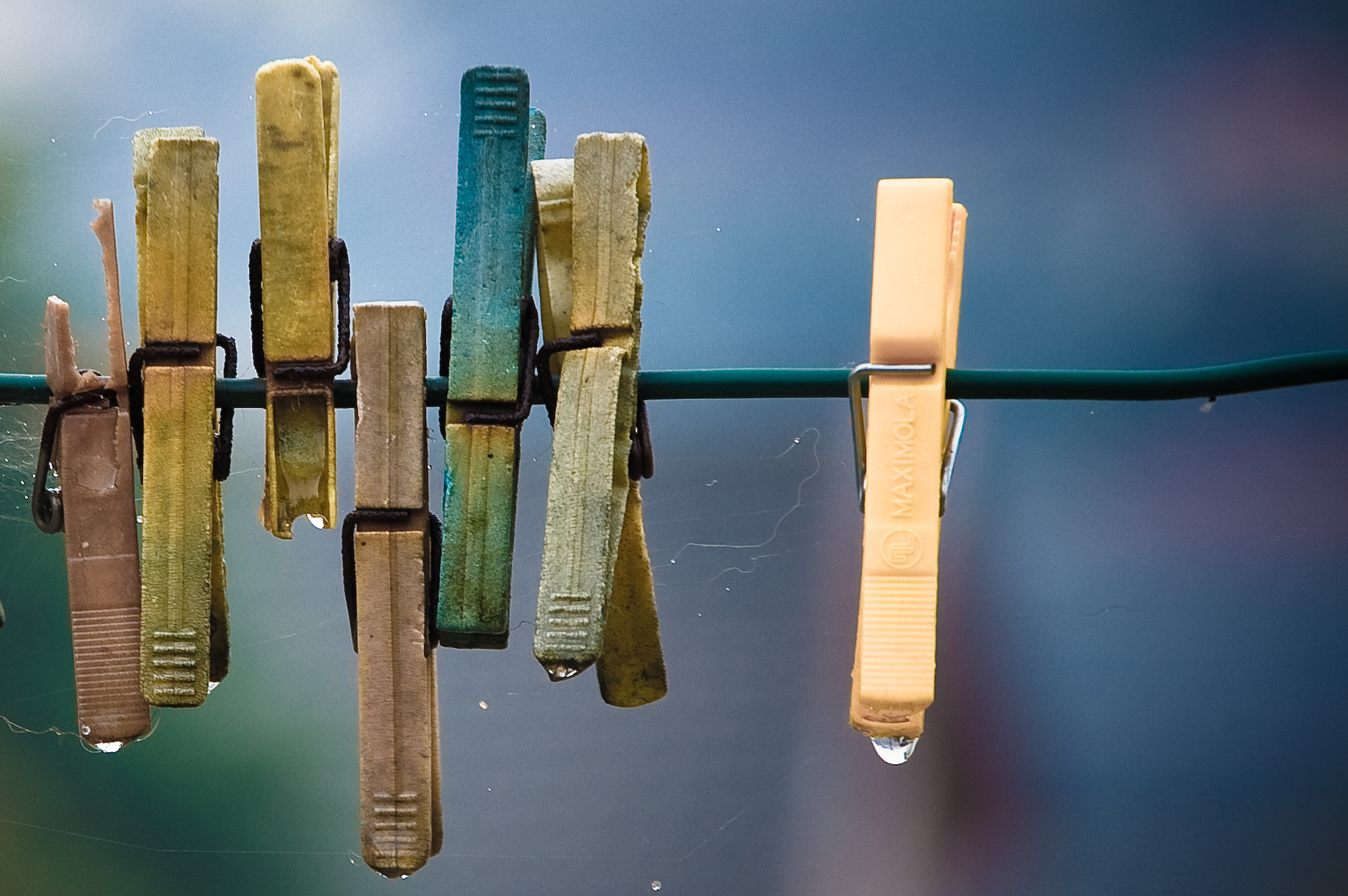 Nikon D40 sample photo. Clothes pegs crying photography