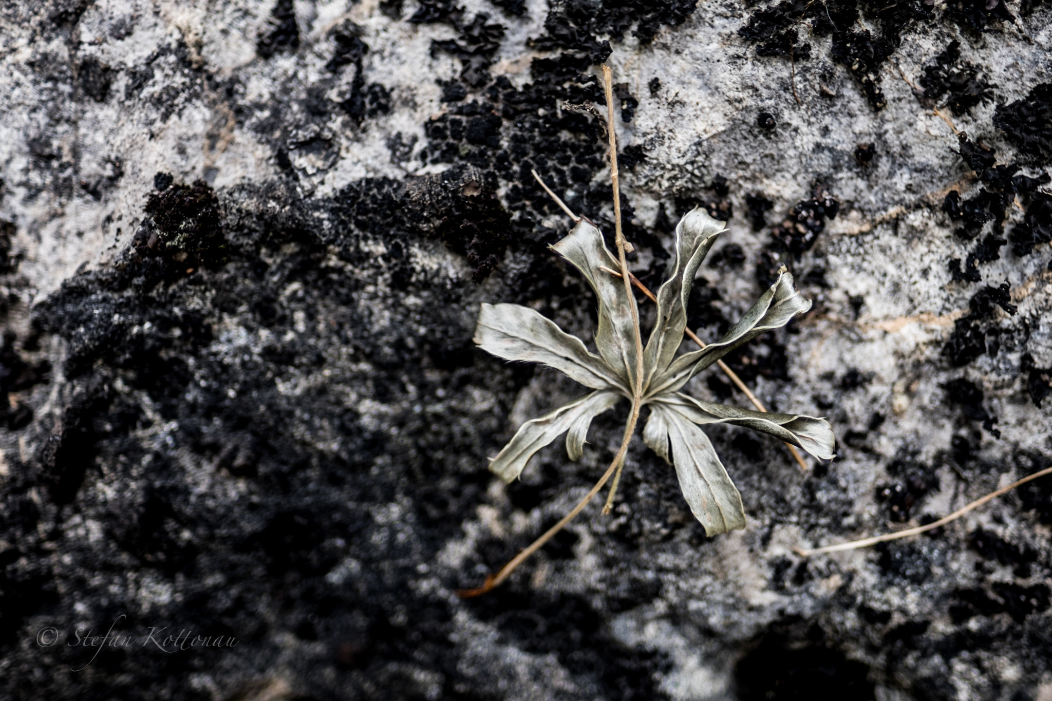 Fujifilm X-E2 + Fujifilm XF 16mm F1.4 R WR sample photo. On the rock photography