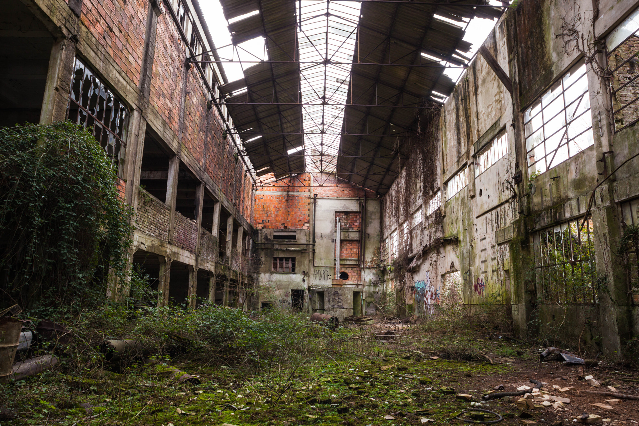 Canon EF 20-35mm F3.5-4.5 USM sample photo. Friche industrielle photography