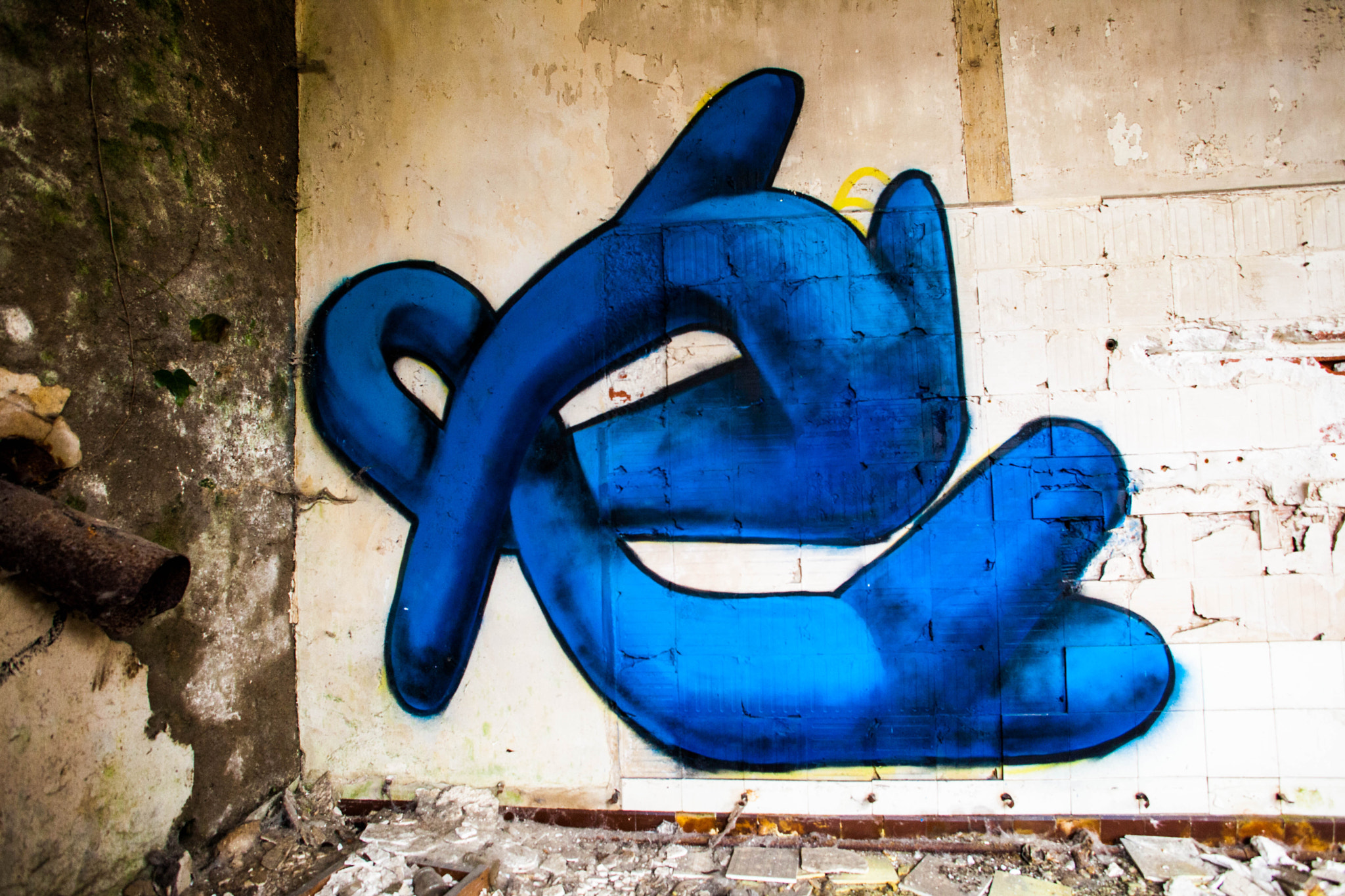 Canon EF 20-35mm F3.5-4.5 USM sample photo. Bleu photography