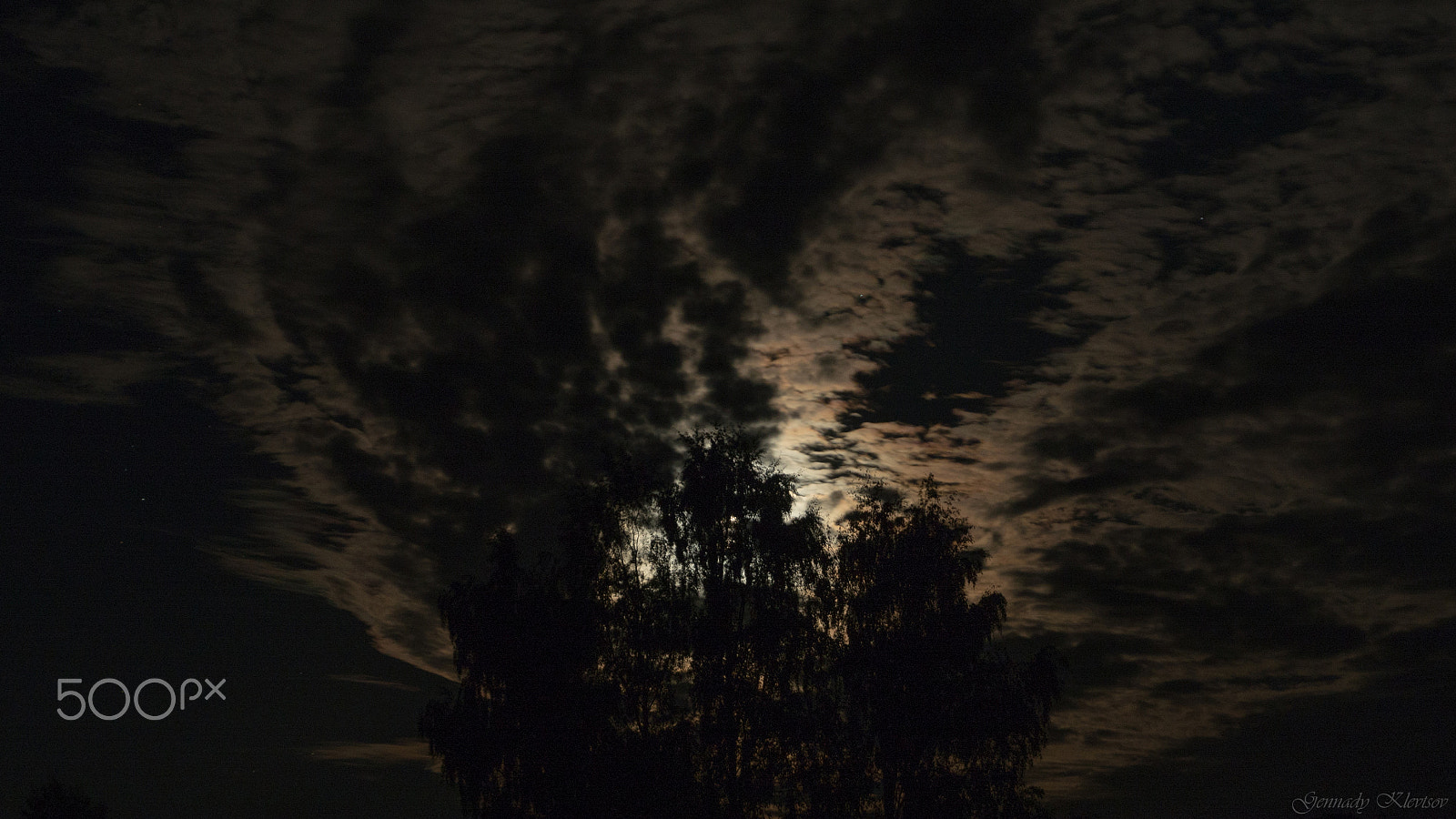OLYMPUS M.12-50mm F3.5-6.3 sample photo. The moon shining through the trees photography