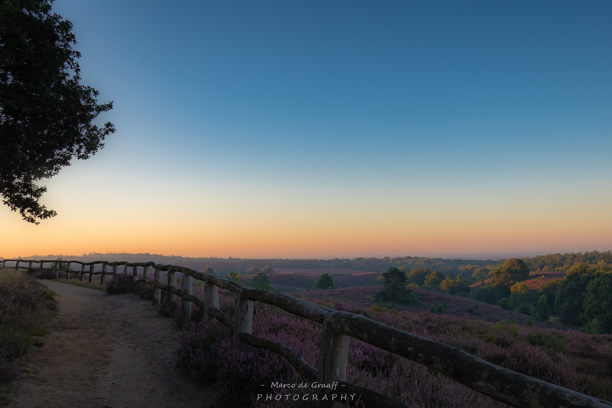 Nikon D500 sample photo. Morning glory photography