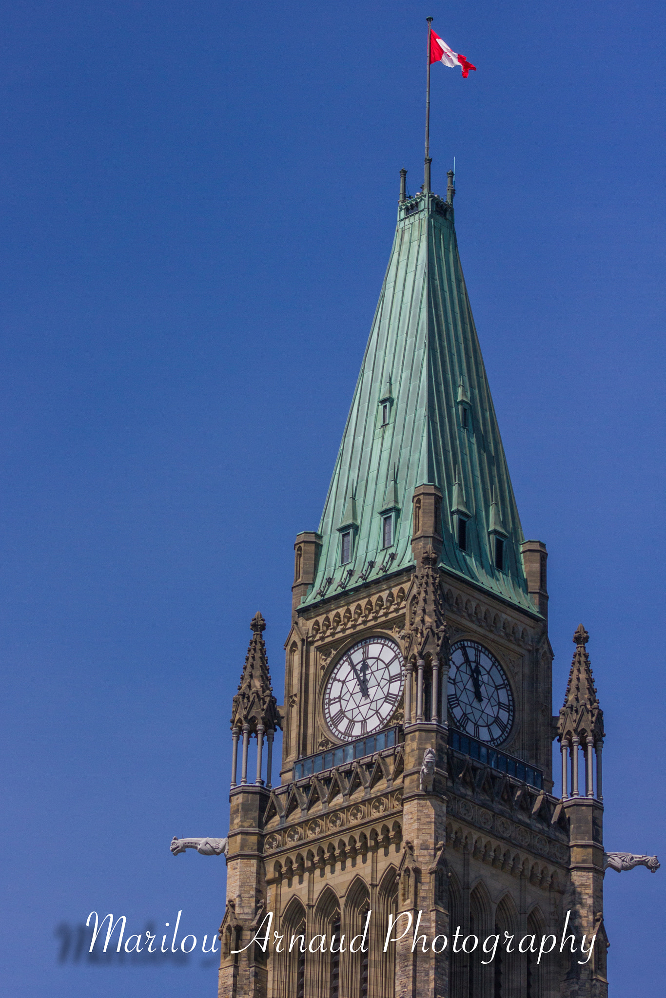 Canon EF 75-300mm f/4-5.6 USM sample photo. Ottawa photography