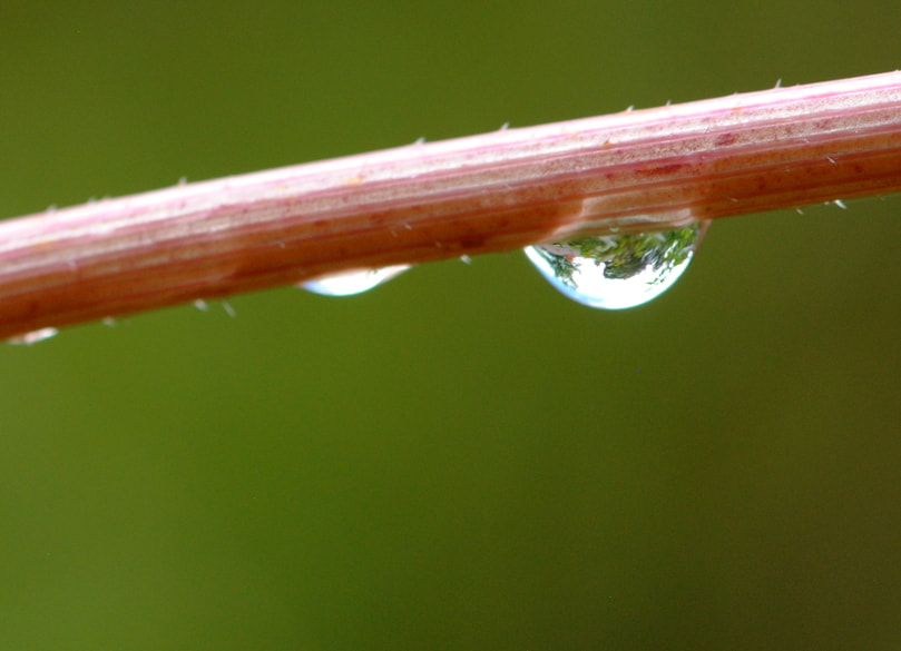 Nikon AF-S Micro-Nikkor 105mm F2.8G IF-ED VR sample photo. Landscape inside out photography