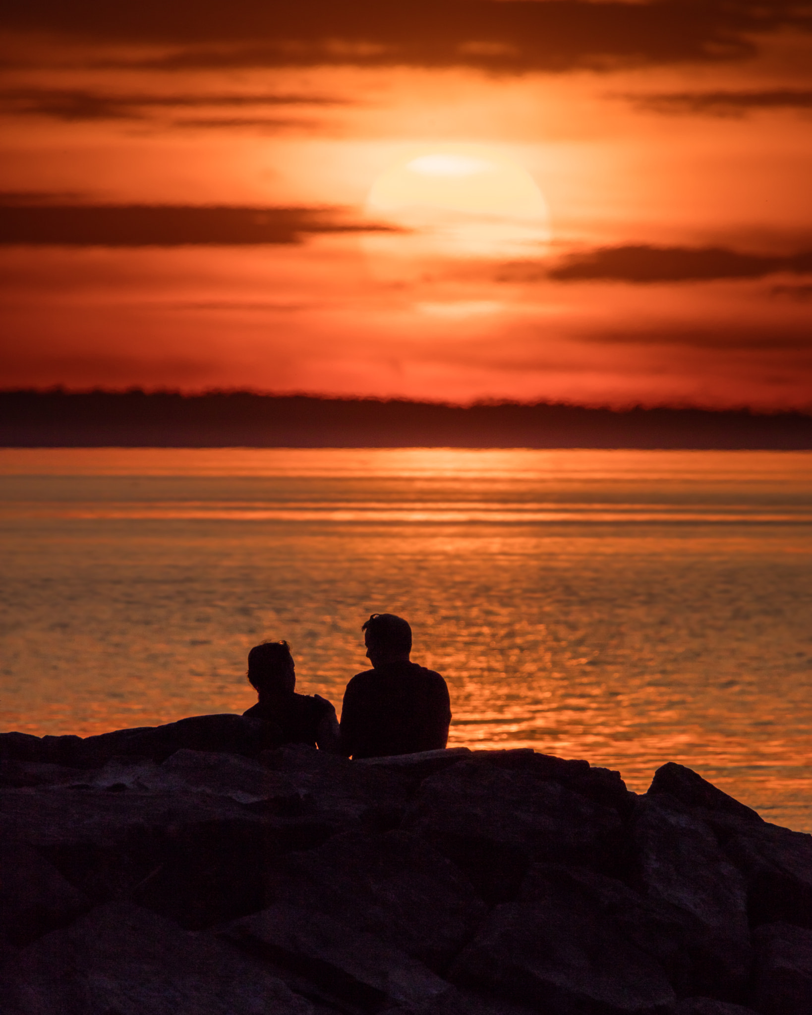 150-600mm F5-6.3 DG OS HSM | Contemporary 015 sample photo. Taking it all in photography
