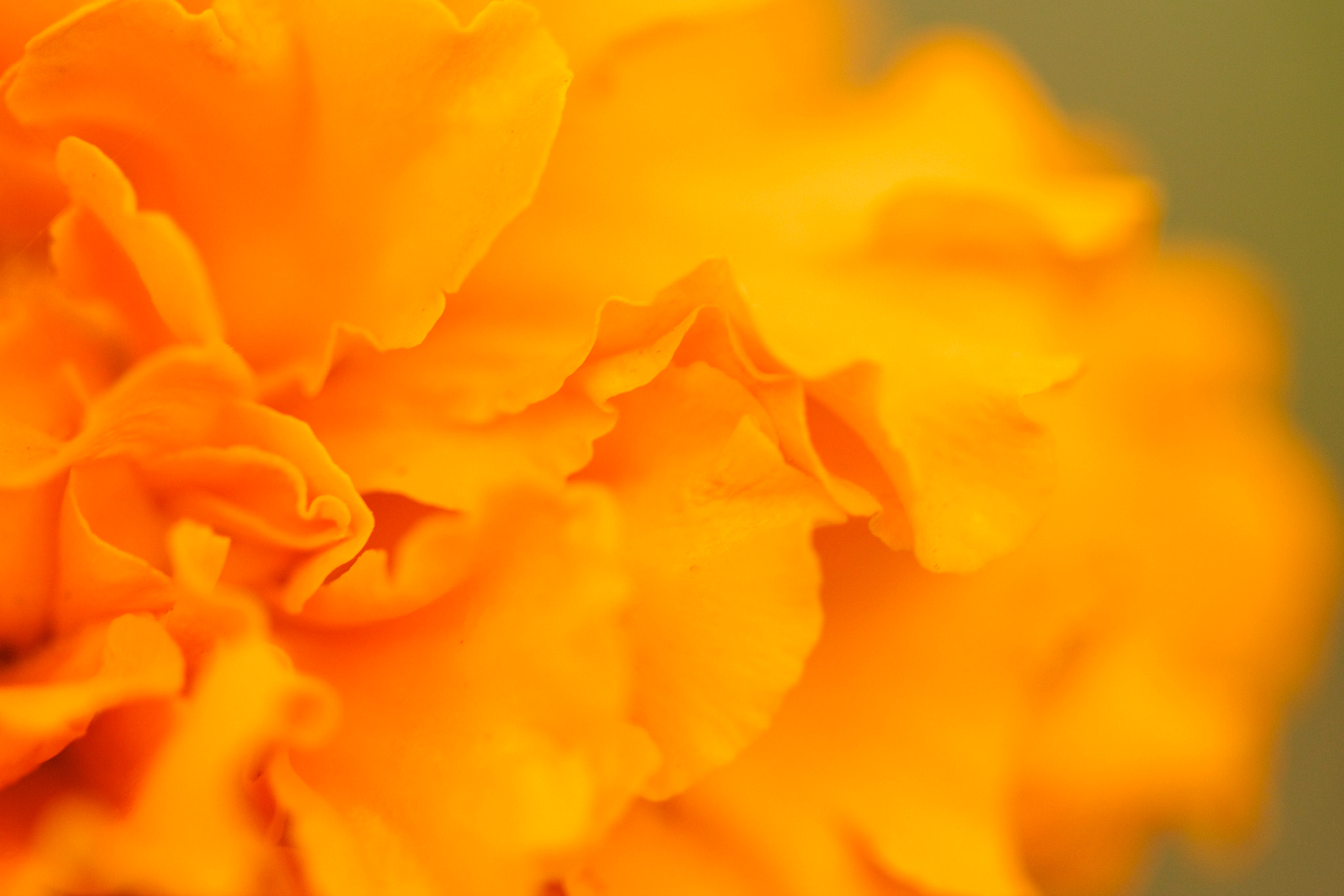 Canon EF 100mm F2.8 Macro USM sample photo. Waves 2 photography