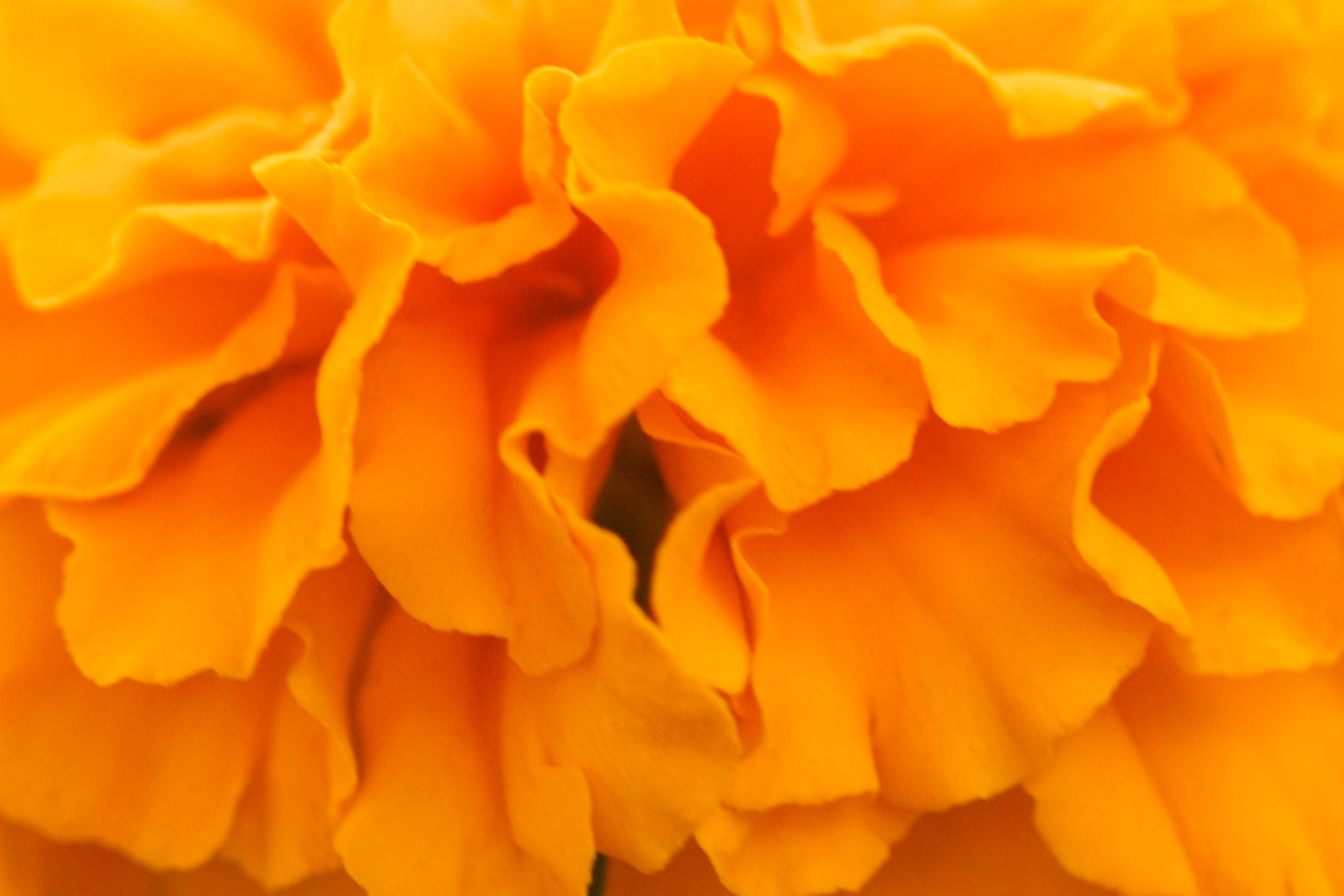 Canon EF 100mm F2.8 Macro USM sample photo. Waves photography
