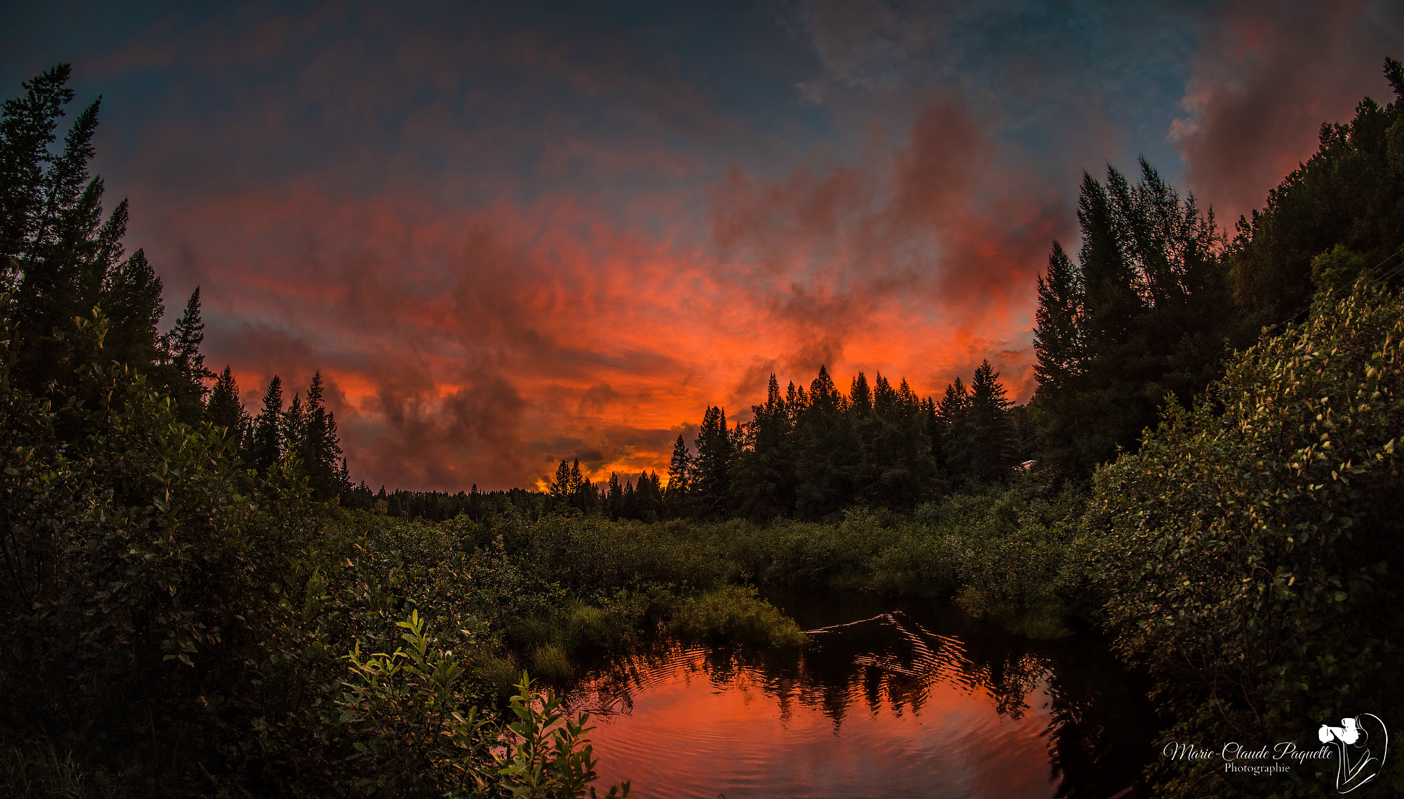 Nikon D810 + Samyang 12mm F2.8 ED AS NCS Fisheye sample photo. Coucher orange photography