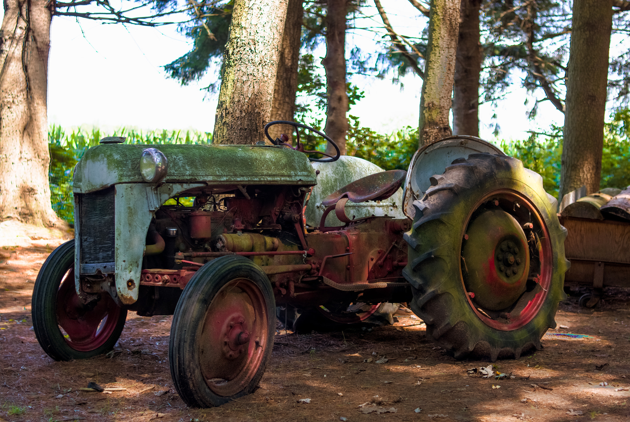 Nikon AF Nikkor 35mm F2D sample photo. Time for a rest photography