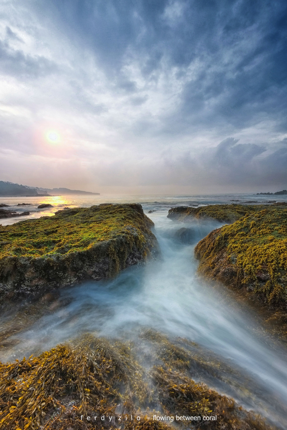 Fujifilm XF 10-24mm F4 R OIS sample photo. Flowing between coral photography