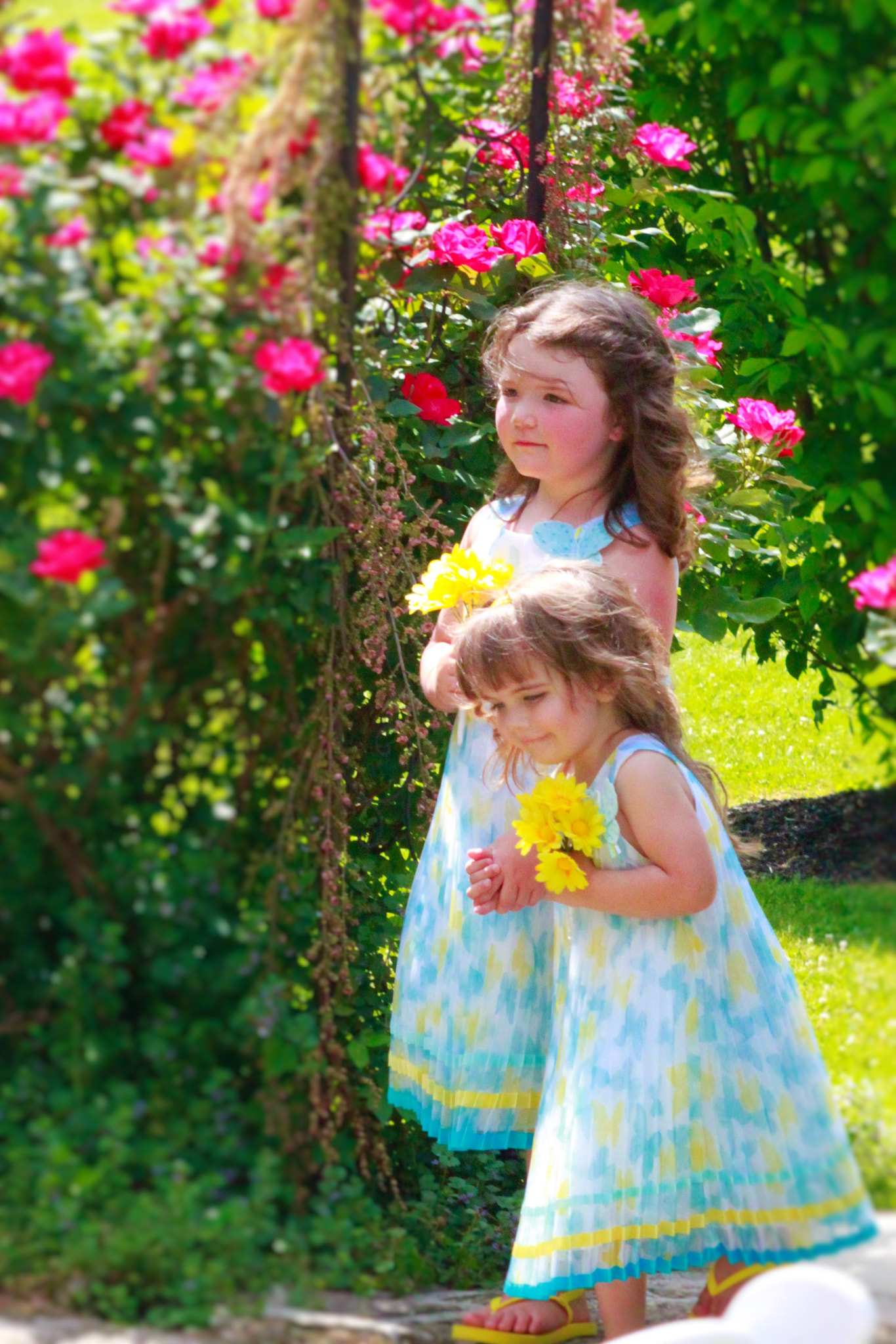 Canon EF 55-200mm f/4.5-5.6 sample photo. Flower girls pinafore dresses pretty photography