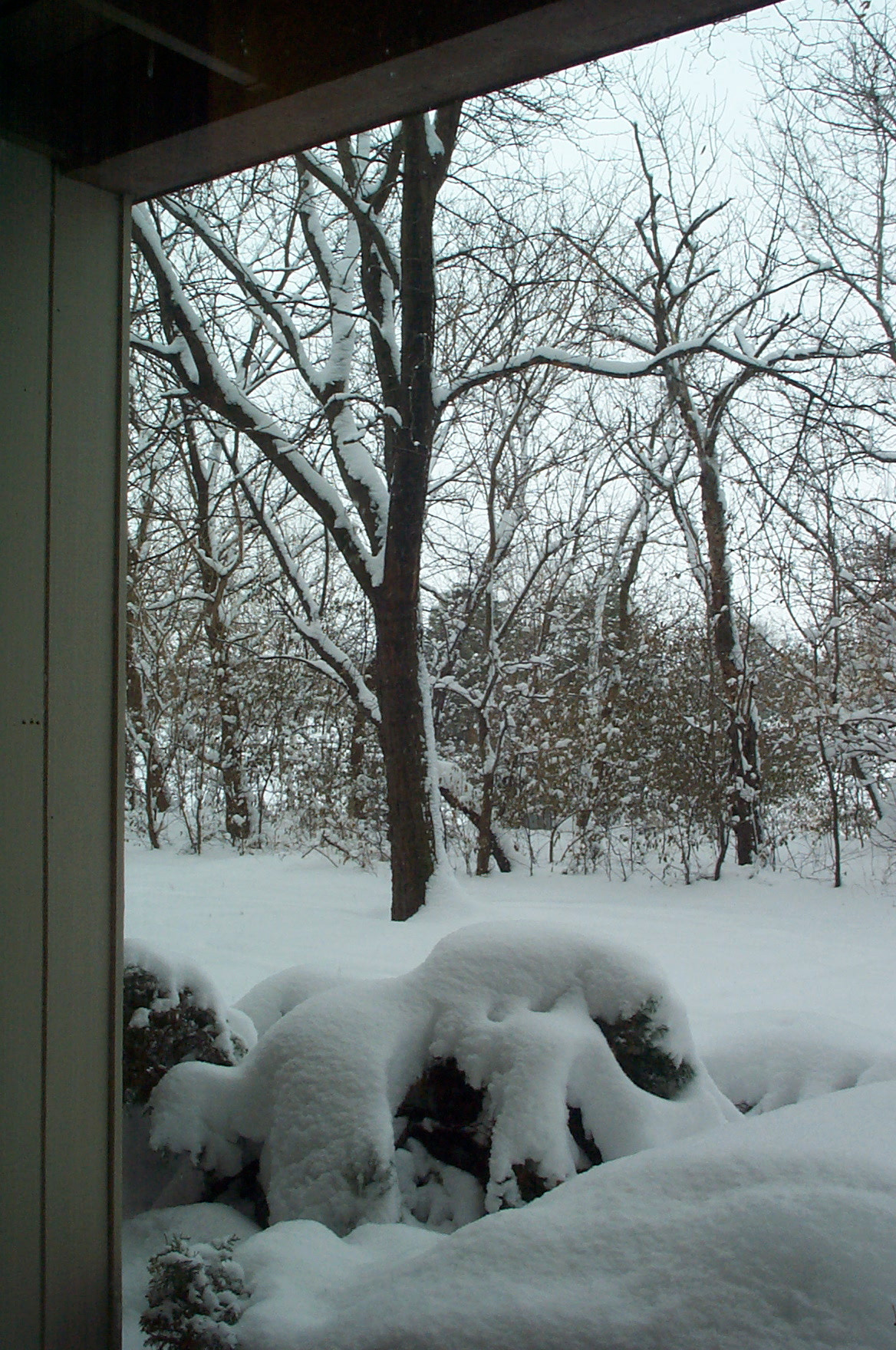 Kodak DC280 ZOOM DIGITAL CAMERA sample photo. Snowy day in illinois photography