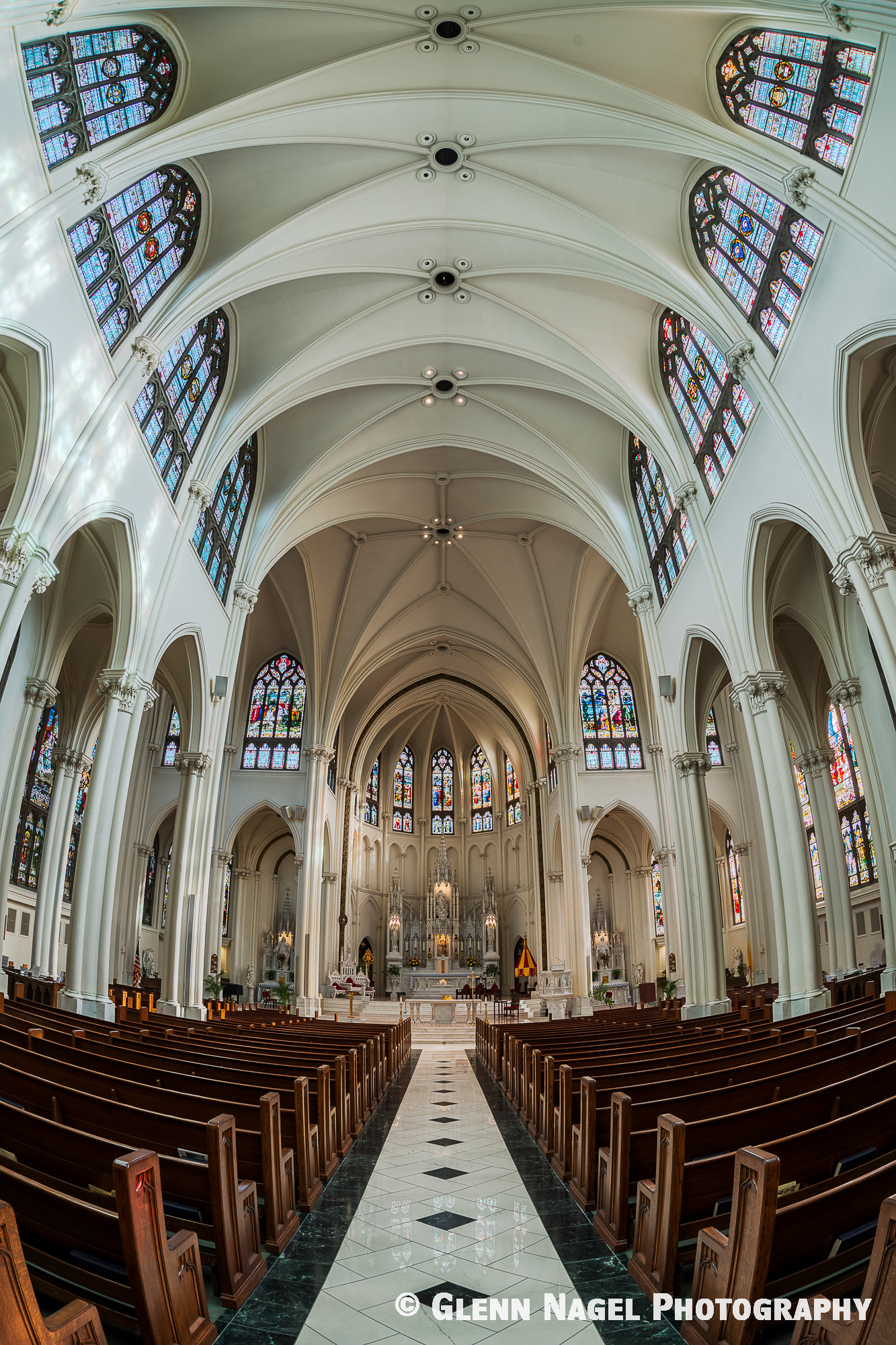 Nikon D800 + Sigma 15mm F2.8 EX DG Diagonal Fisheye sample photo. Cathedral of the immaculate conception photography