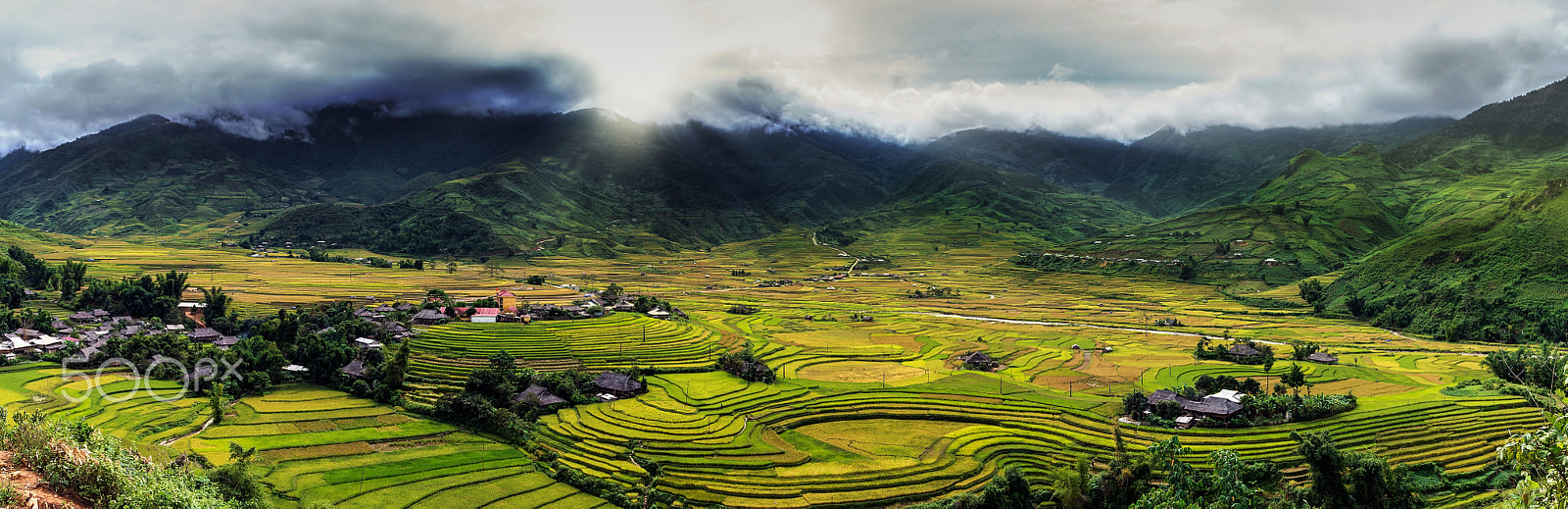 Pentax K-5 IIs sample photo. Panorama from top view point which can see rice terraced fields photography