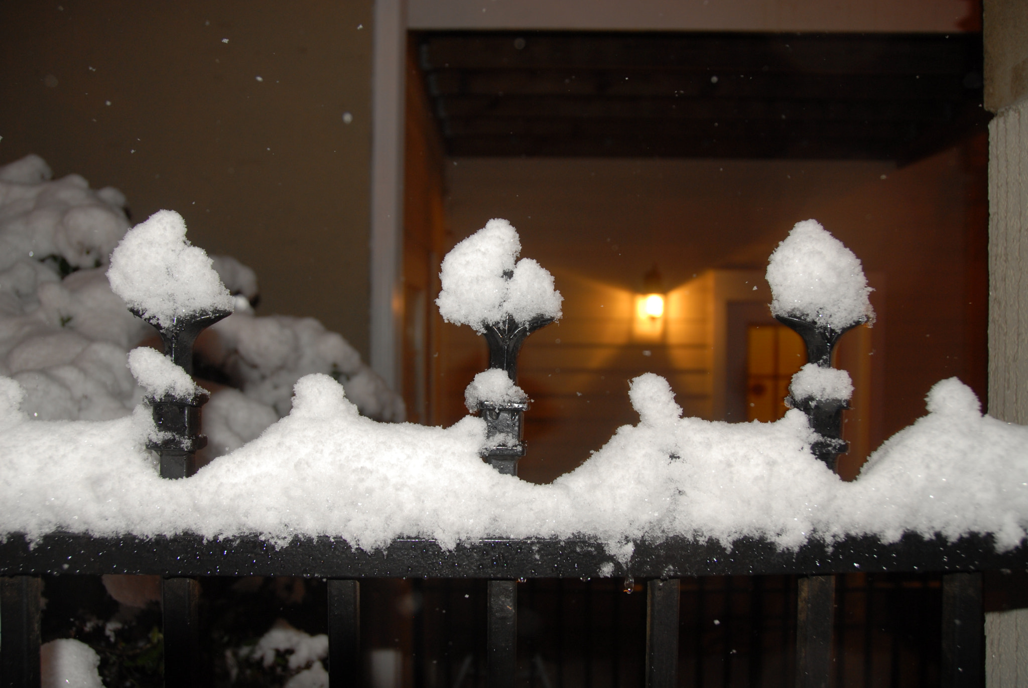 Nikon D200 sample photo. Amn_0319.jpg photography