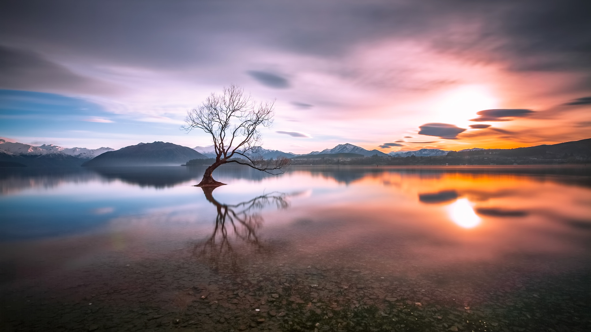 Canon EF 16-35mm F2.8L II USM sample photo. Wanaka tree sunrise photography