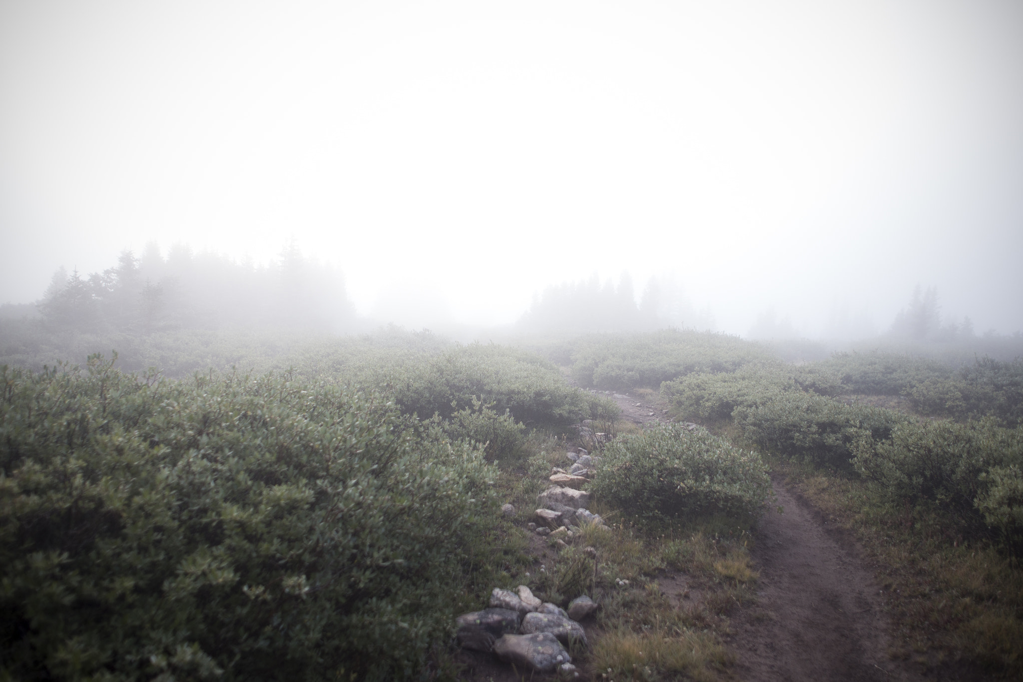 Canon EOS 6D + Sigma 24mm f/1.8 DG Macro EX sample photo. Mount massive fog 1 photography