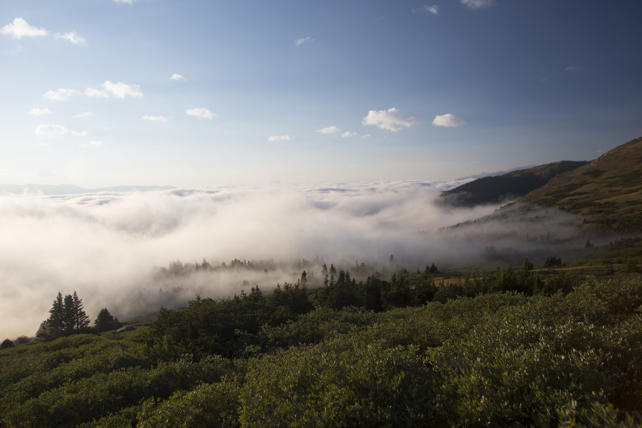 Canon EOS 6D + Sigma 24mm f/1.8 DG Macro EX sample photo. Mount massive trail in fog photography
