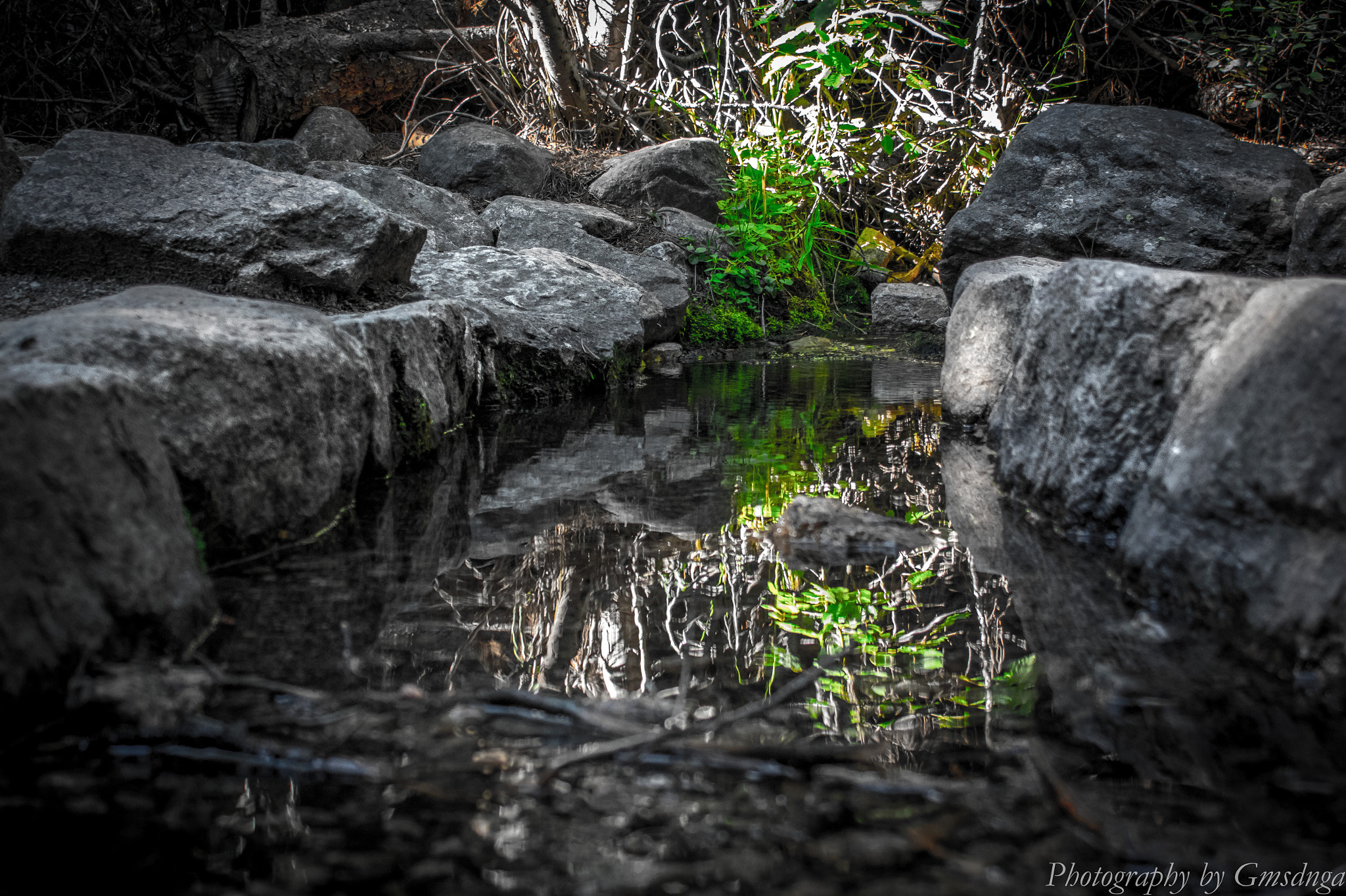 Nikon 1 J4 + VR 18-55mm f/3.5-5.6G sample photo. The trench photography