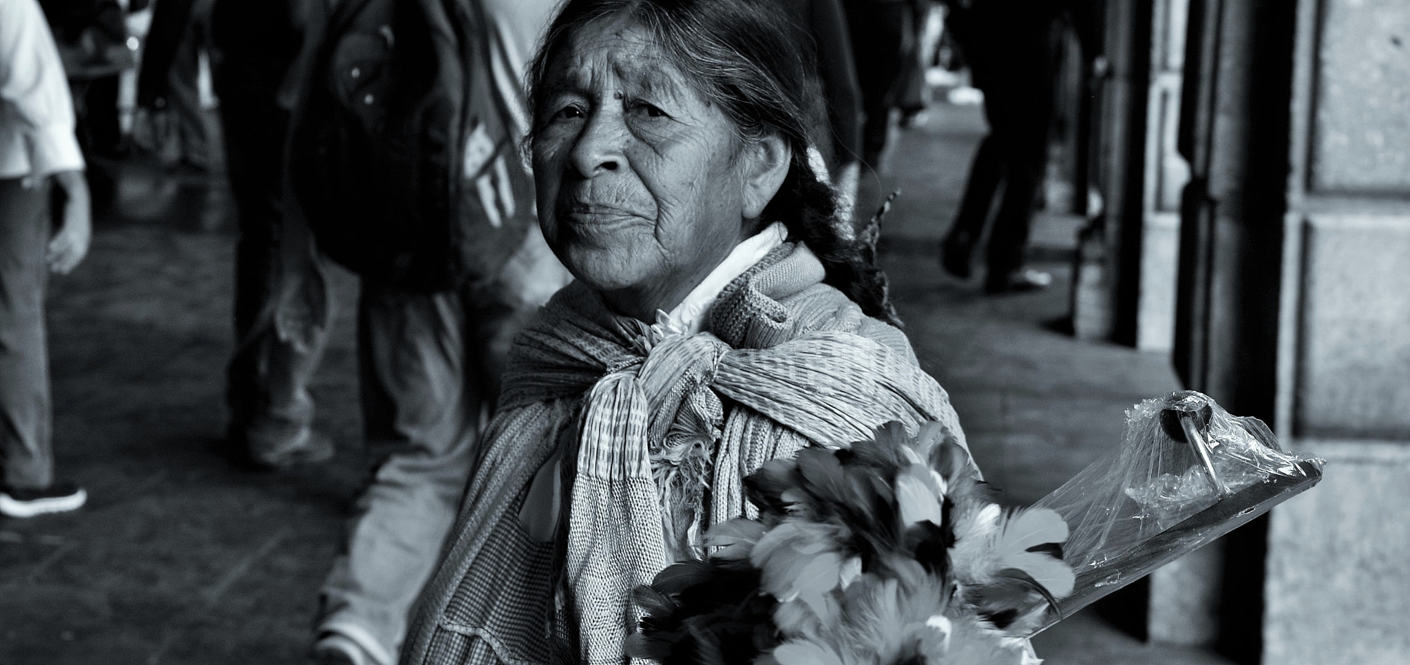 Nikon D610 + Sigma 28-70mm F2.8 EX sample photo. (the seller of feathers) photography