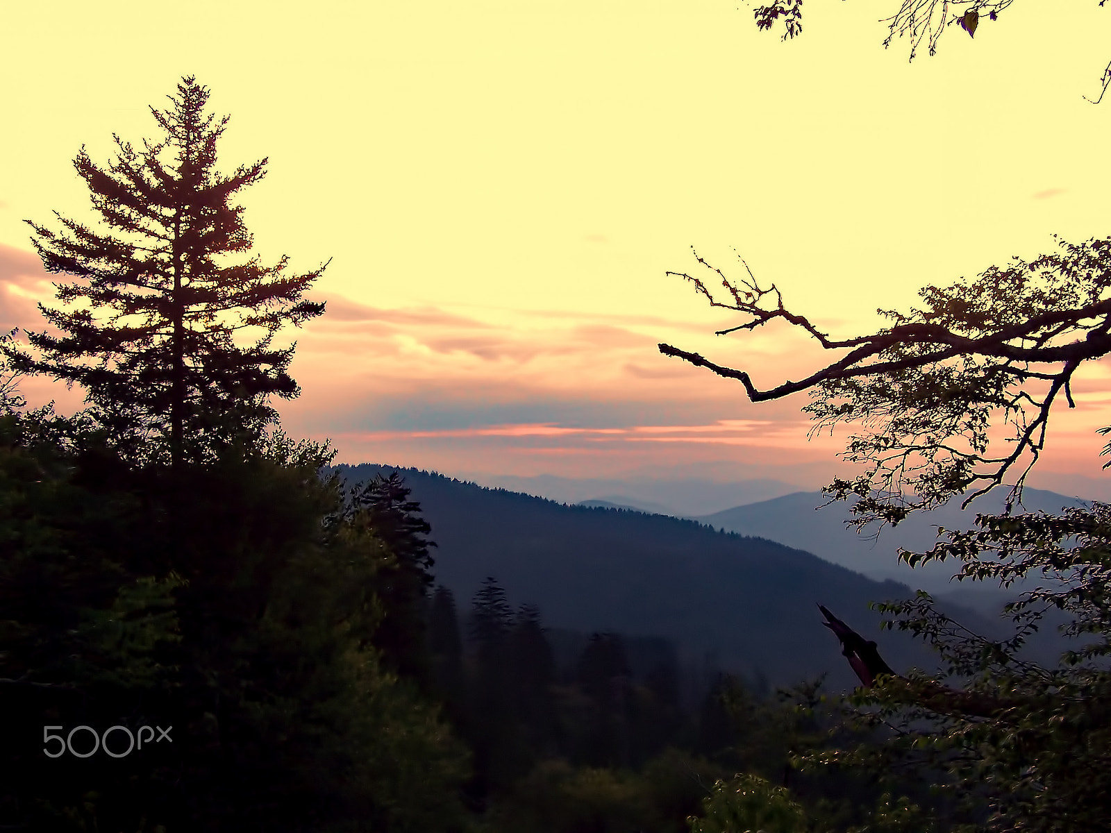 Kodak DX7590 ZOOM DIGITAL CAMERA sample photo. Good morning smokies photography