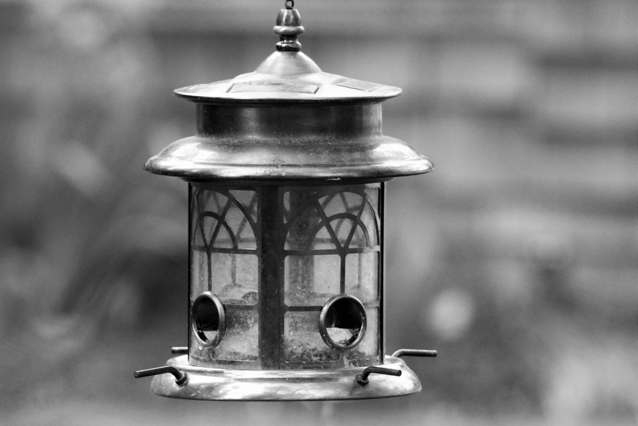Canon EF 100-300mm F4.5-5.6 USM sample photo. 21491310024.jpg photography