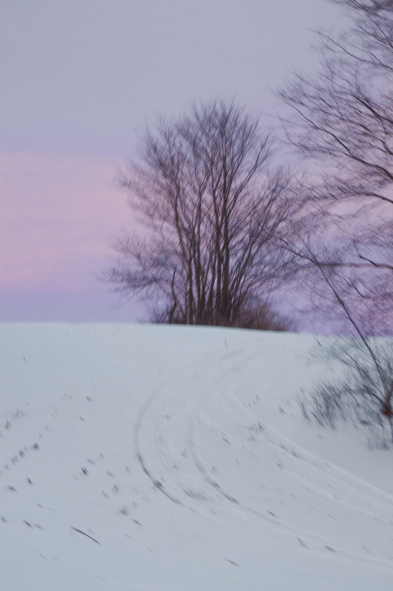 Canon EF 100-300mm F4.5-5.6 USM sample photo. 16736941512.jpg photography