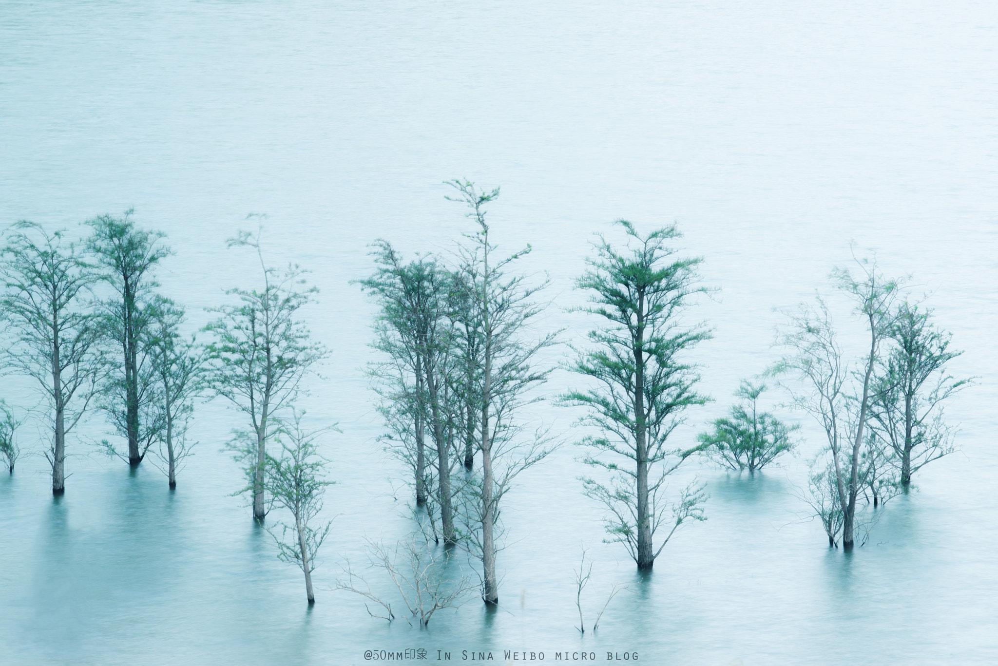 AF-S Zoom-Nikkor 80-200mm f/2.8D IF-ED sample photo. Life photography