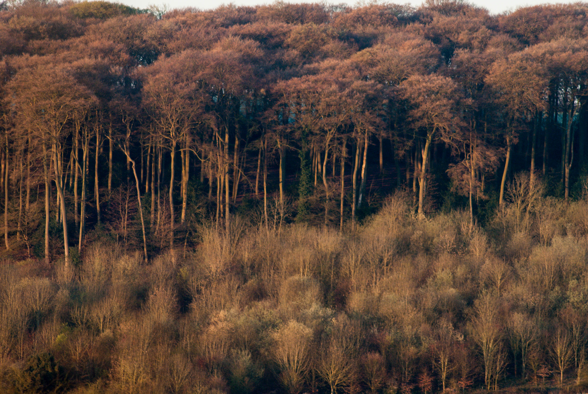 Sony Alpha DSLR-A200 sample photo. Distant photography